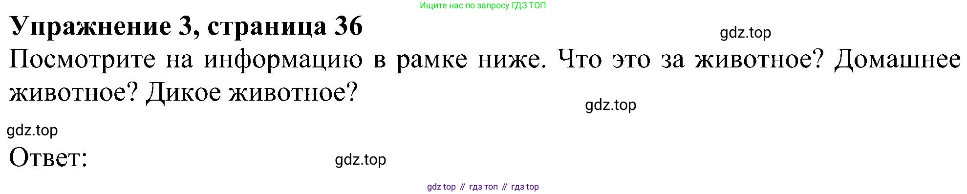 Английский язык (english), 5 класс Рабочая тетрадь (workbook), авторы: Ваулина Юлия Евгеньевна (Vaulina Julia), Дули Дженни (Dooley Jenny), Подоляко Ольга Евгеньевна (Podolyako Olga), Эванс Вирджиния (Evans Virginia), издательство Просвещение, Москва, 2023, жёлтого цвета, страница 36, номер 3, Решение 1 (2023-2027)