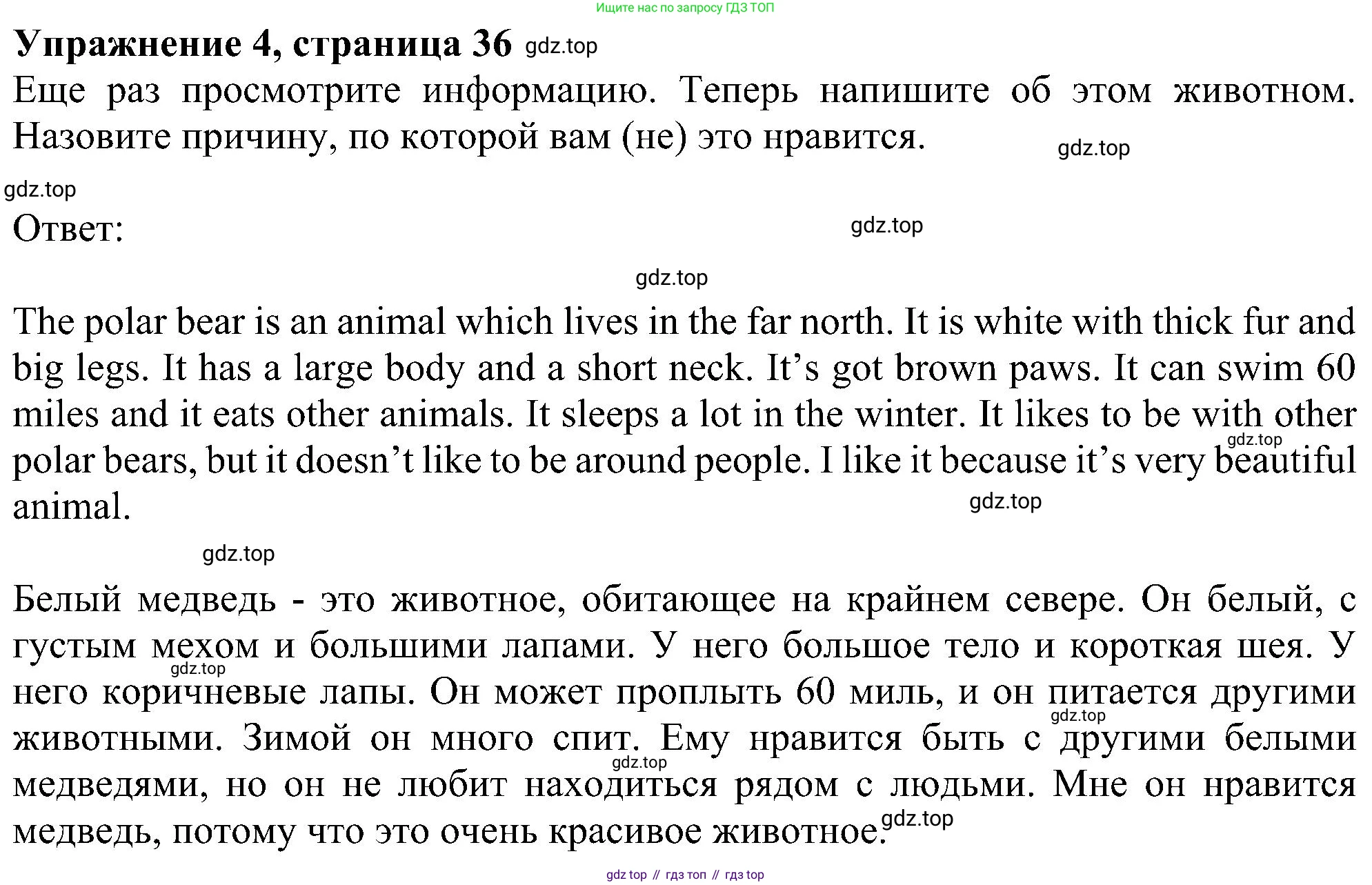 Английский язык (english), 5 класс Рабочая тетрадь (workbook), авторы: Ваулина Юлия Евгеньевна (Vaulina Julia), Дули Дженни (Dooley Jenny), Подоляко Ольга Евгеньевна (Podolyako Olga), Эванс Вирджиния (Evans Virginia), издательство Просвещение, Москва, 2023, жёлтого цвета, страница 36, номер 4, Решение 1 (2023-2027)