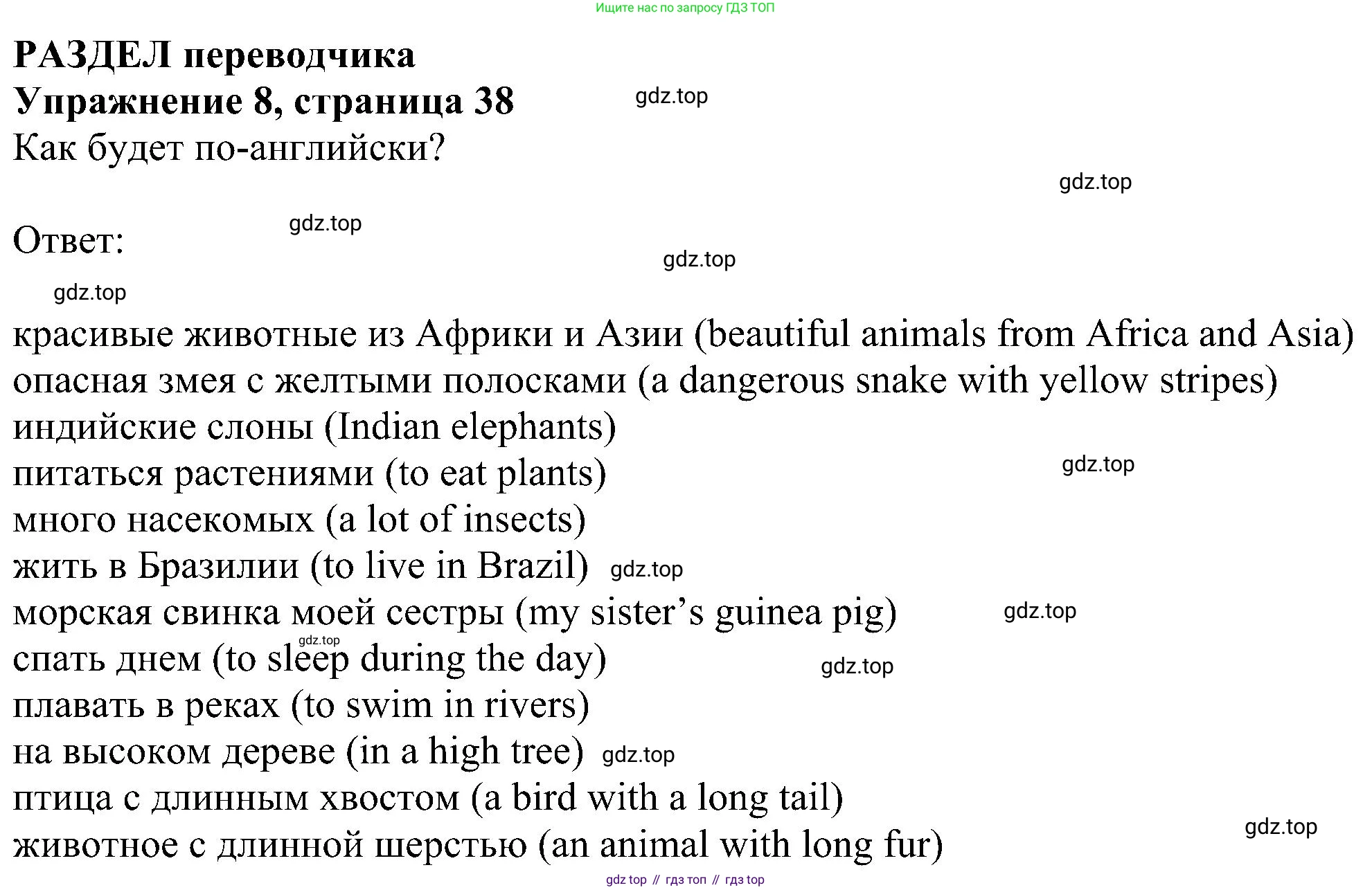 Английский язык (english), 5 класс Рабочая тетрадь (workbook), авторы: Ваулина Юлия Евгеньевна (Vaulina Julia), Дули Дженни (Dooley Jenny), Подоляко Ольга Евгеньевна (Podolyako Olga), Эванс Вирджиния (Evans Virginia), издательство Просвещение, Москва, 2023, жёлтого цвета, страница 38, номер 8, Решение 1 (2023-2027)