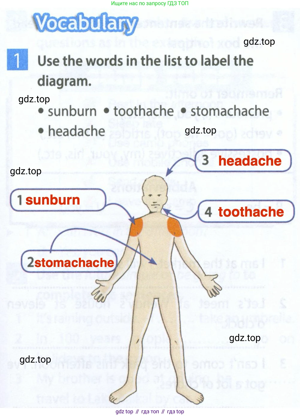 Английский язык (english), 5 класс Рабочая тетрадь (workbook), авторы: Ваулина Юлия Евгеньевна (Vaulina Julia), Дули Дженни (Dooley Jenny), Подоляко Ольга Евгеньевна (Podolyako Olga), Эванс Вирджиния (Evans Virginia), издательство Просвещение, Москва, 2023, жёлтого цвета, страница 65, номер 1, Решение 2 (2023-2027)