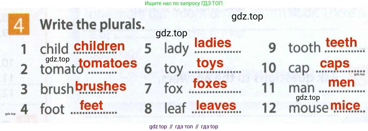 Английский язык (english), 5 класс Рабочая тетрадь (workbook), авторы: Ваулина Юлия Евгеньевна (Vaulina Julia), Дули Дженни (Dooley Jenny), Подоляко Ольга Евгеньевна (Podolyako Olga), Эванс Вирджиния (Evans Virginia), издательство Просвещение, Москва, 2023, жёлтого цвета, страница 19, номер 4, Решение 2 (2023-2027)