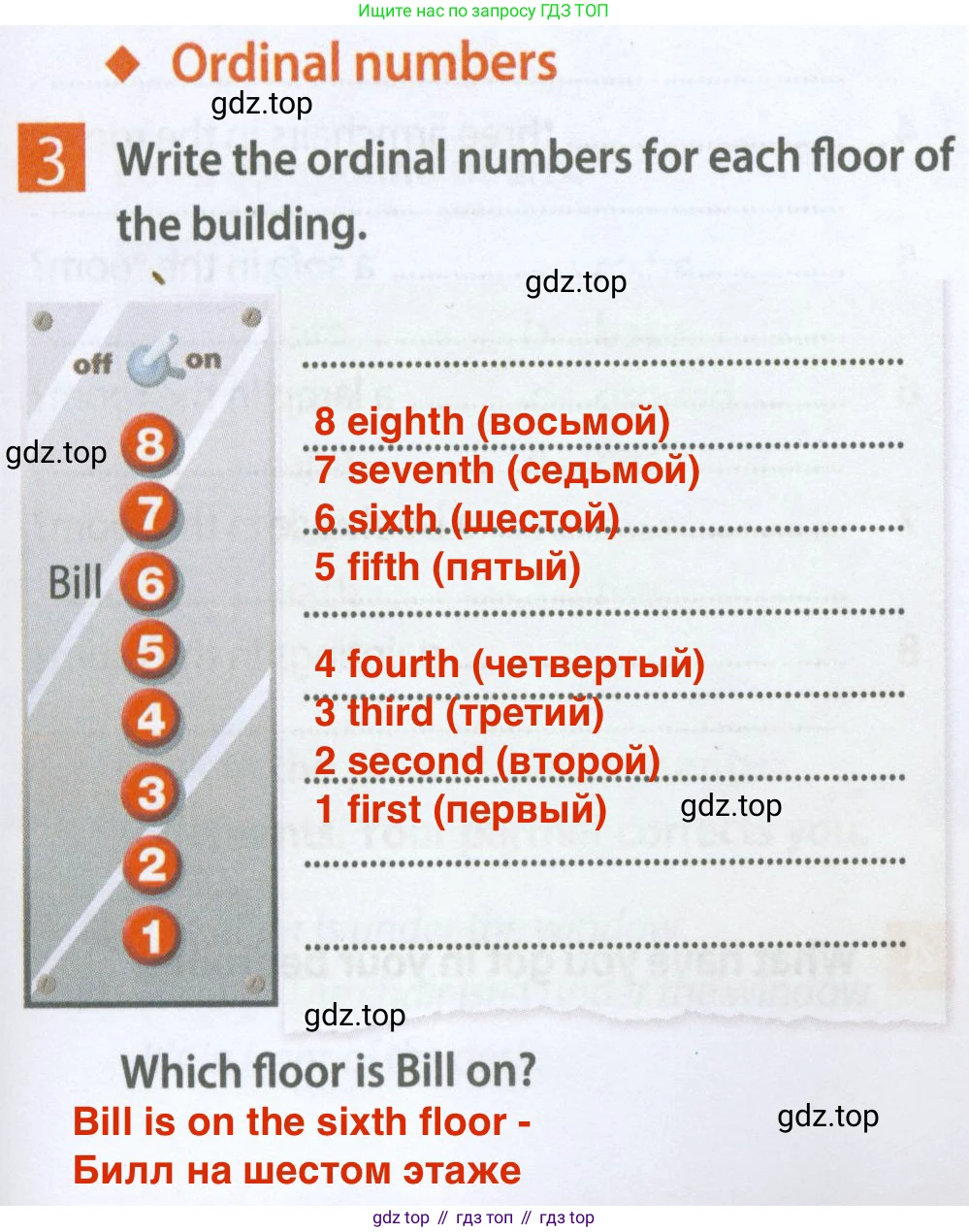 Английский язык (english), 5 класс Рабочая тетрадь (workbook), авторы: Ваулина Юлия Евгеньевна (Vaulina Julia), Дули Дженни (Dooley Jenny), Подоляко Ольга Евгеньевна (Podolyako Olga), Эванс Вирджиния (Evans Virginia), издательство Просвещение, Москва, 2023, жёлтого цвета, страница 21, номер 3, Решение 2 (2023-2027)