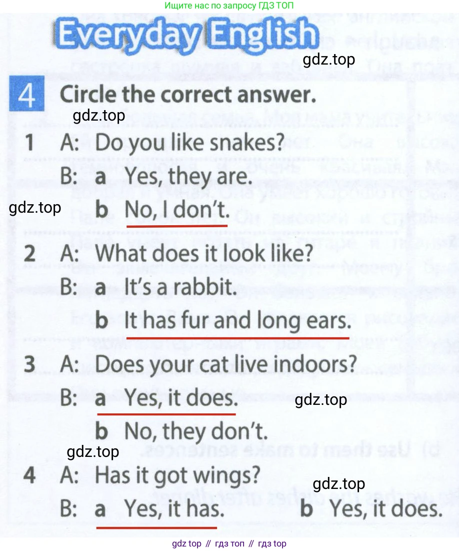 ГДЗ Английский язык (english), 5 класс Рабочая тетрадь (workbook), авторы: Ваулина Юлия Евгеньевна (Vaulina Julia), Дули Дженни (Dooley Jenny), Подоляко Ольга Евгеньевна (Podolyako Olga), Эванс Вирджиния (Evans Virginia), издательство Просвещение, Москва, 2023, жёлтого цвета, страница 34, номер 4, Решение 2 (2023-2027)