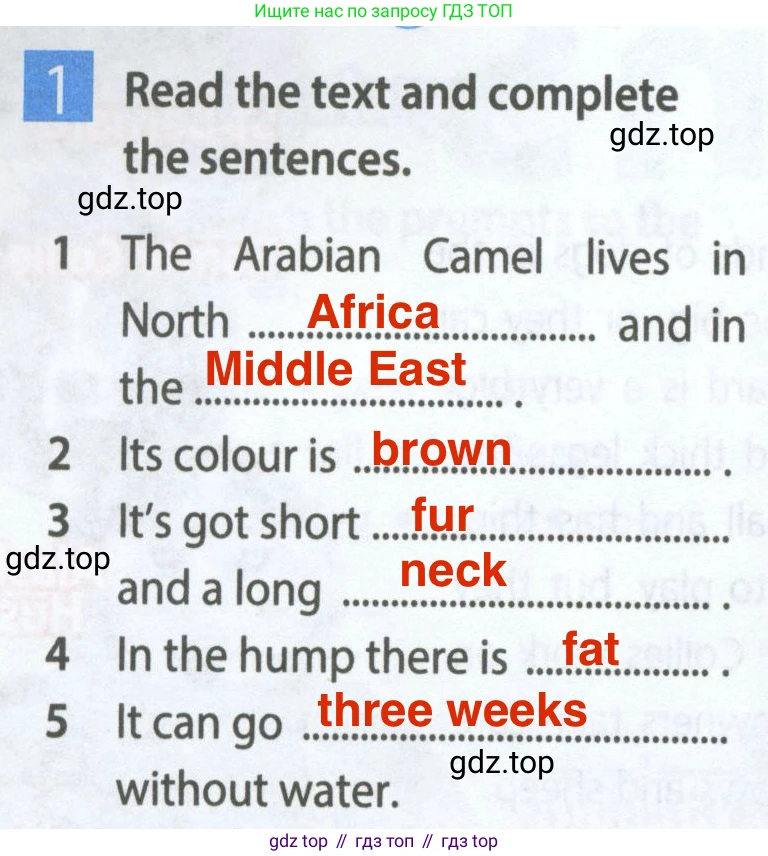 Английский язык (english), 5 класс Рабочая тетрадь (workbook), авторы: Ваулина Юлия Евгеньевна (Vaulina Julia), Дули Дженни (Dooley Jenny), Подоляко Ольга Евгеньевна (Podolyako Olga), Эванс Вирджиния (Evans Virginia), издательство Просвещение, Москва, 2023, жёлтого цвета, страница 36, номер 1, Решение 2 (2023-2027)