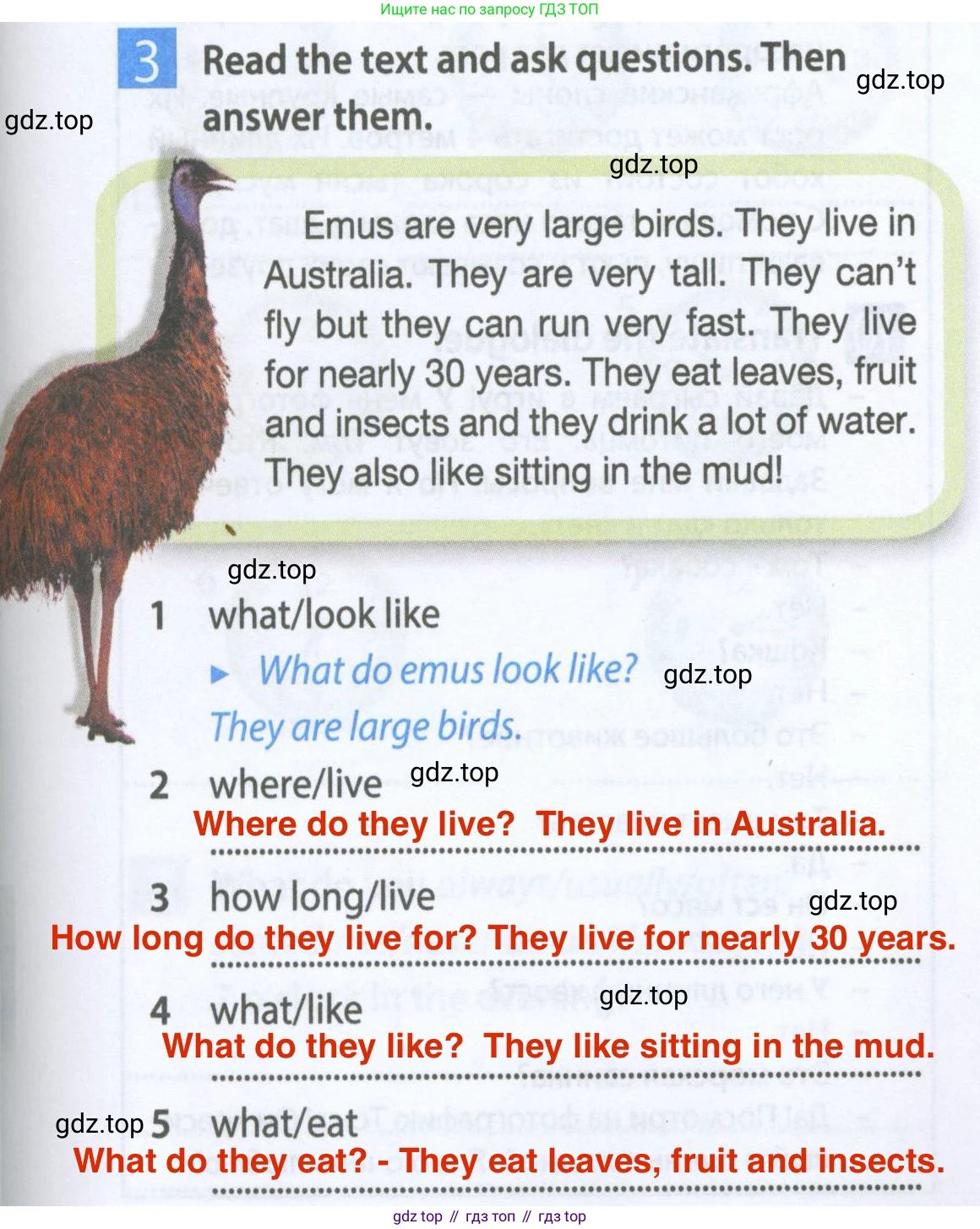 Английский язык (english), 5 класс Рабочая тетрадь (workbook), авторы: Ваулина Юлия Евгеньевна (Vaulina Julia), Дули Дженни (Dooley Jenny), Подоляко Ольга Евгеньевна (Podolyako Olga), Эванс Вирджиния (Evans Virginia), издательство Просвещение, Москва, 2023, жёлтого цвета, страница 37, номер 3, Решение 2 (2023-2027)