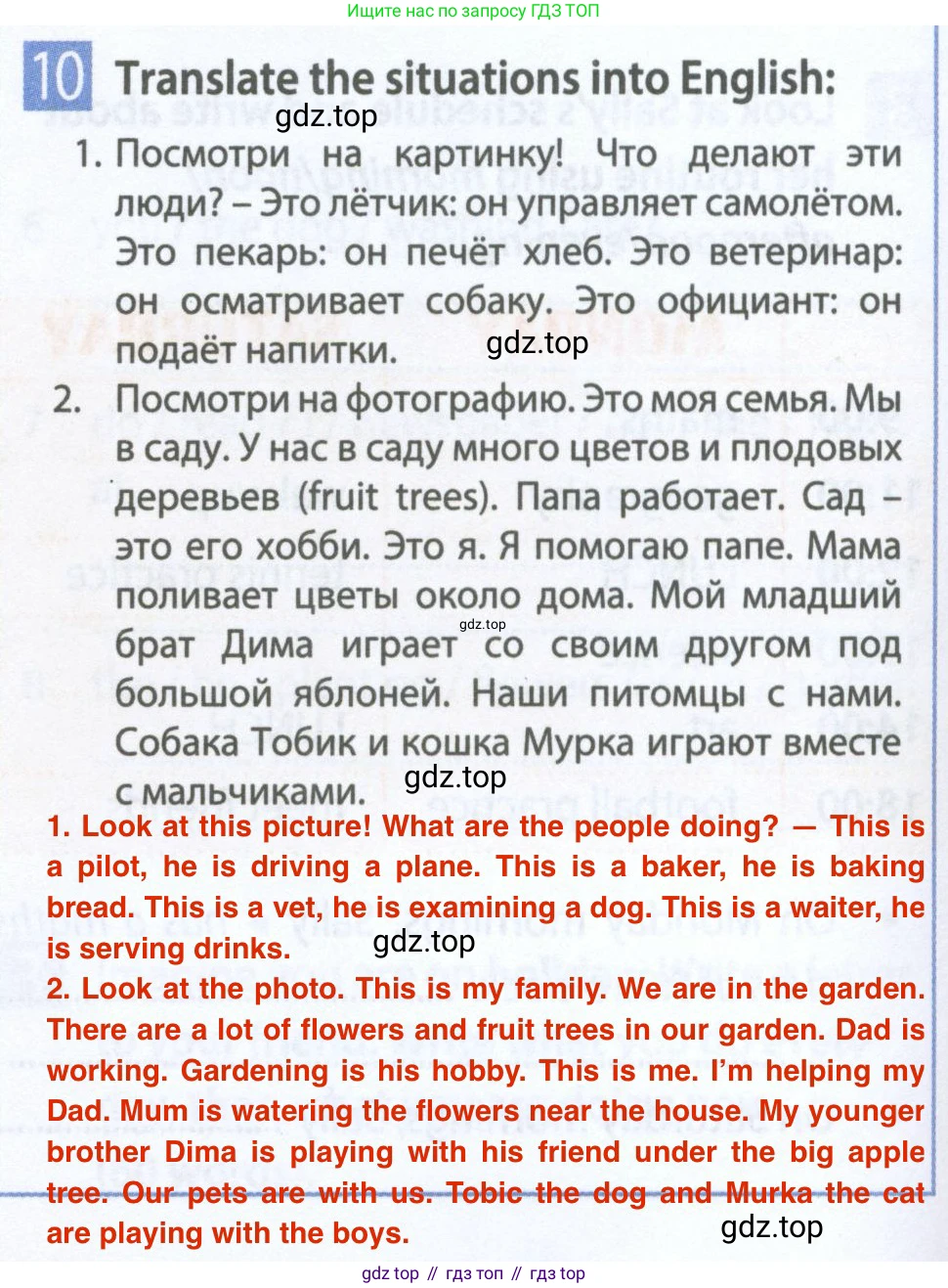 Английский язык (english), 5 класс Рабочая тетрадь (workbook), авторы: Ваулина Юлия Евгеньевна (Vaulina Julia), Дули Дженни (Dooley Jenny), Подоляко Ольга Евгеньевна (Podolyako Olga), Эванс Вирджиния (Evans Virginia), издательство Просвещение, Москва, 2023, жёлтого цвета, страница 44, номер 10, Решение 2 (2023-2027)