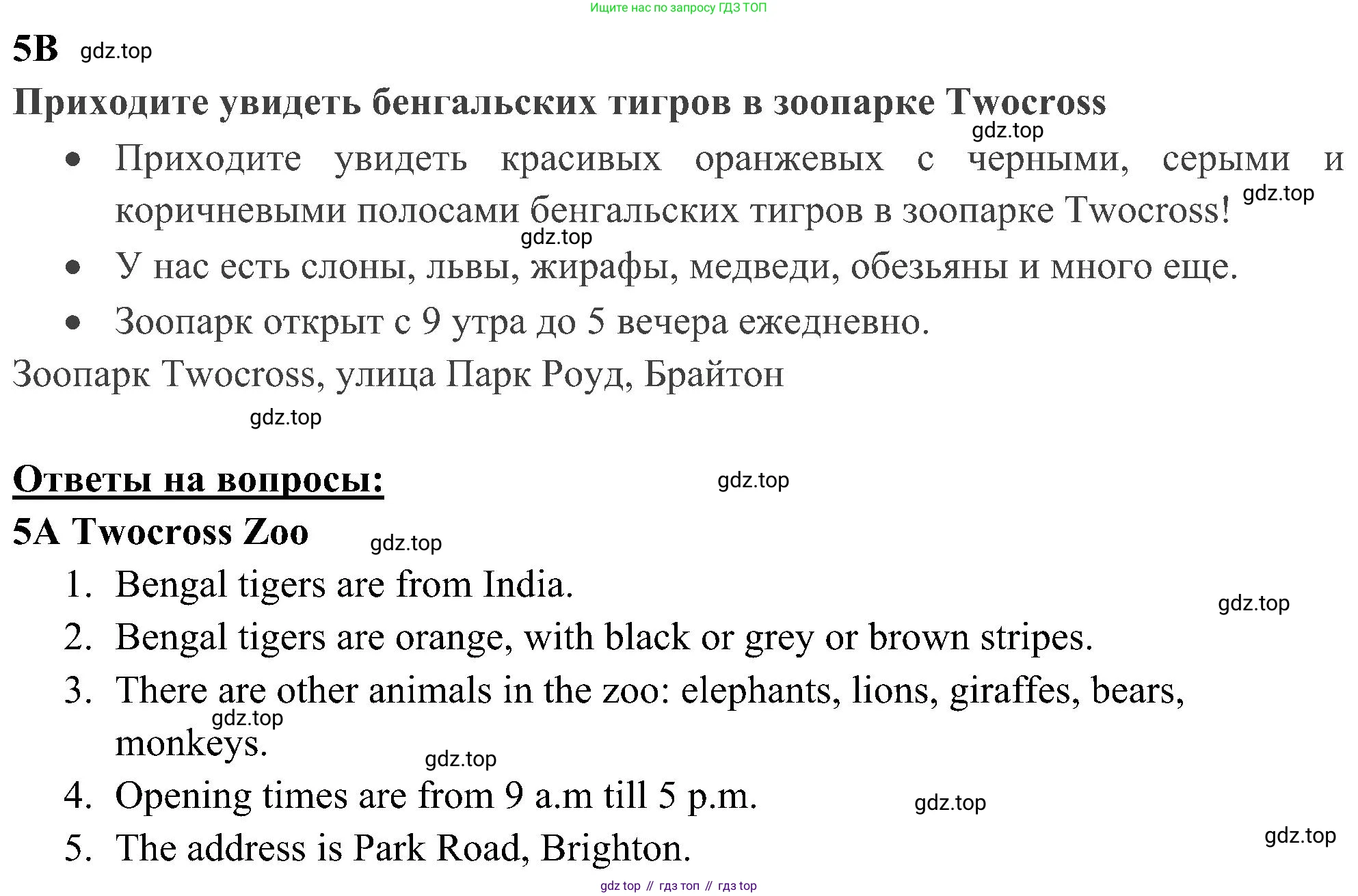 Английский язык (english), 5 класс Рабочая тетрадь (workbook), авторы: Ваулина Юлия Евгеньевна (Vaulina Julia), Дули Дженни (Dooley Jenny), Подоляко Ольга Евгеньевна (Podolyako Olga), Эванс Вирджиния (Evans Virginia), издательство Просвещение, Москва, 2023, жёлтого цвета, страница 72, номер 5, Решение 3 (2023-2027)