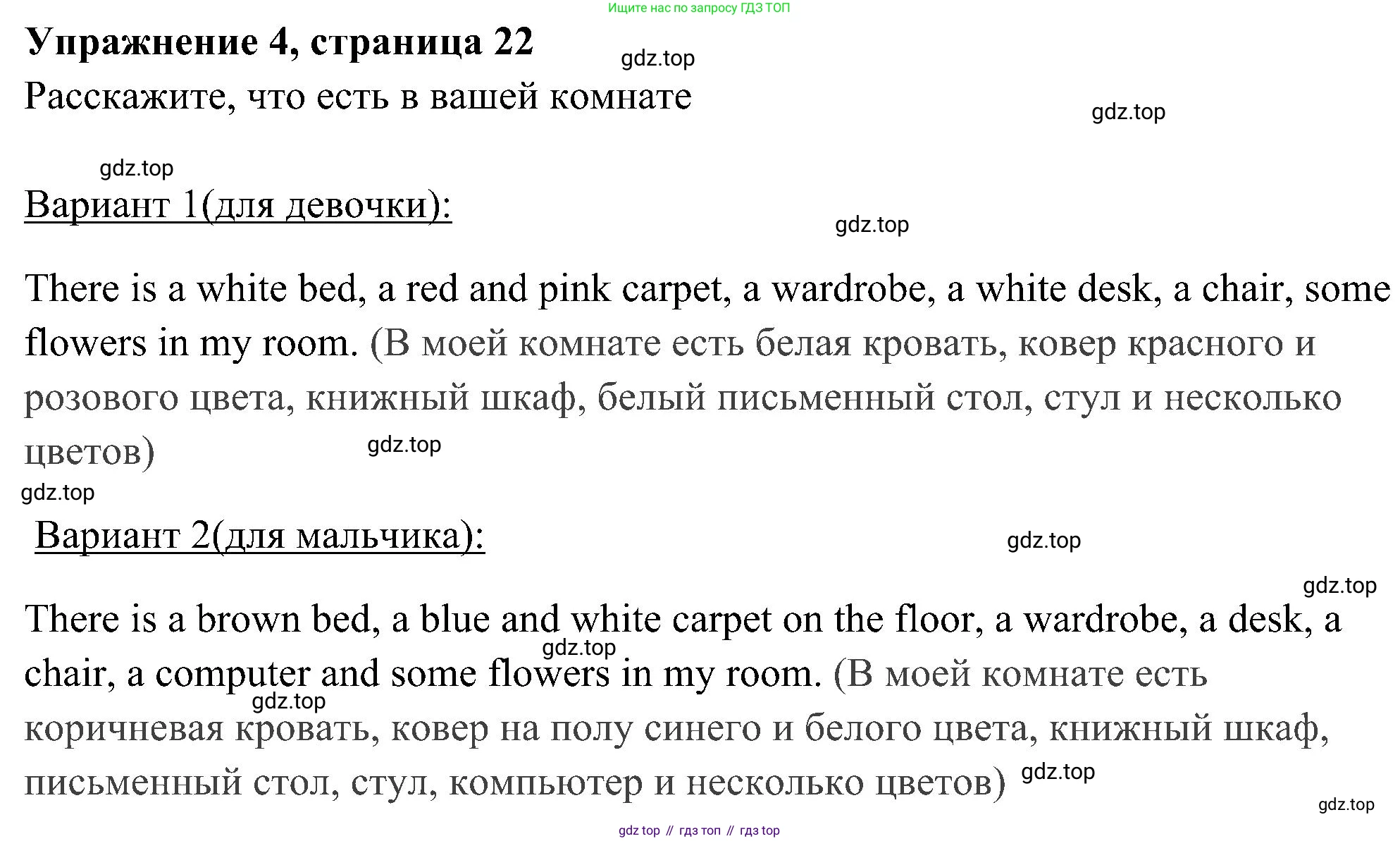 Английский язык (english), 5 класс Рабочая тетрадь (workbook), авторы: Ваулина Юлия Евгеньевна (Vaulina Julia), Дули Дженни (Dooley Jenny), Подоляко Ольга Евгеньевна (Podolyako Olga), Эванс Вирджиния (Evans Virginia), издательство Просвещение, Москва, 2023, жёлтого цвета, страница 22, номер 4, Решение 3 (2023-2027)