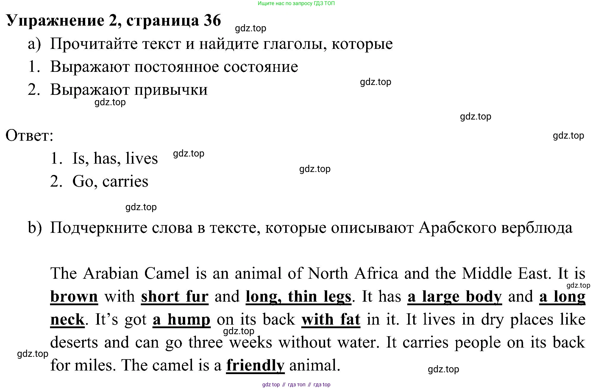 Английский язык (english), 5 класс Рабочая тетрадь (workbook), авторы: Ваулина Юлия Евгеньевна (Vaulina Julia), Дули Дженни (Dooley Jenny), Подоляко Ольга Евгеньевна (Podolyako Olga), Эванс Вирджиния (Evans Virginia), издательство Просвещение, Москва, 2023, жёлтого цвета, страница 36, номер 2, Решение 3 (2023-2027)