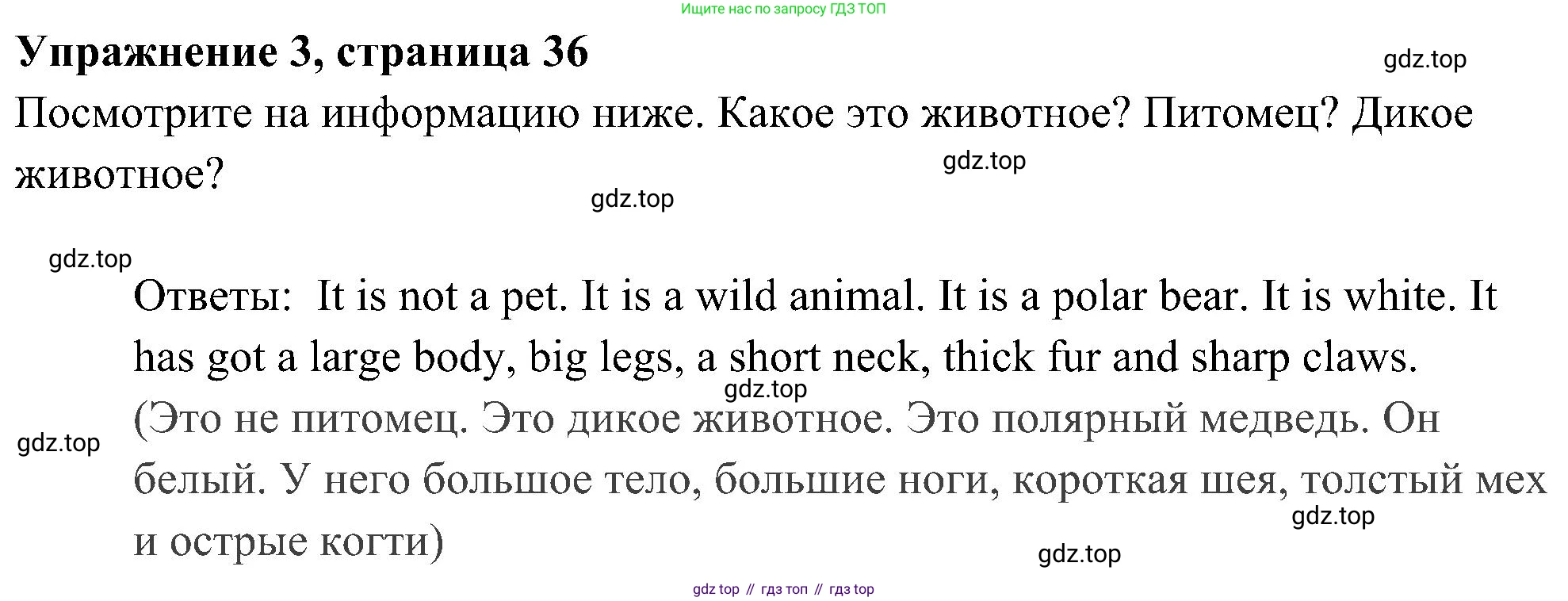 Английский язык (english), 5 класс Рабочая тетрадь (workbook), авторы: Ваулина Юлия Евгеньевна (Vaulina Julia), Дули Дженни (Dooley Jenny), Подоляко Ольга Евгеньевна (Podolyako Olga), Эванс Вирджиния (Evans Virginia), издательство Просвещение, Москва, 2023, жёлтого цвета, страница 36, номер 3, Решение 3 (2023-2027)
