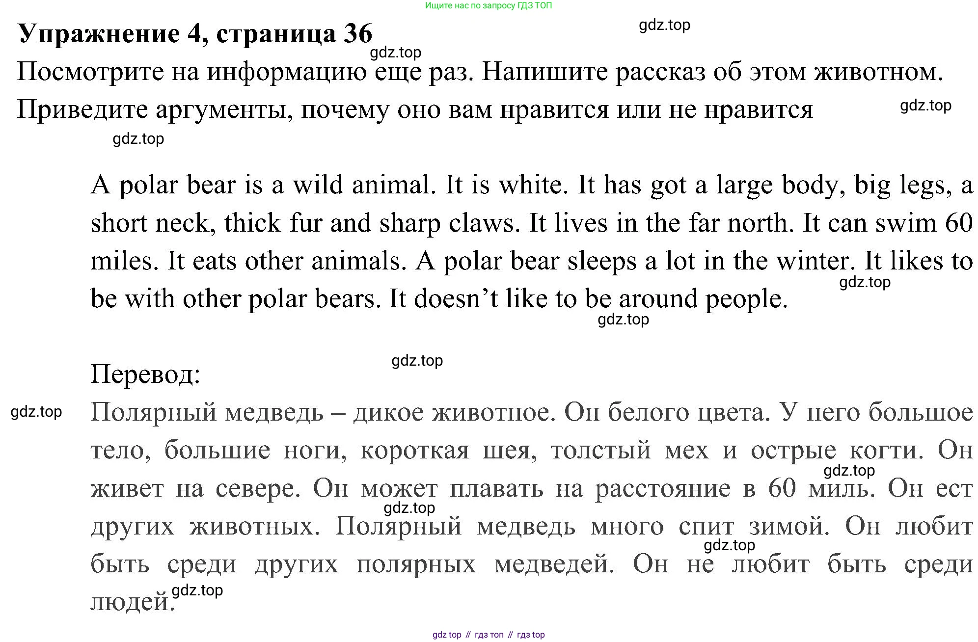 Английский язык (english), 5 класс Рабочая тетрадь (workbook), авторы: Ваулина Юлия Евгеньевна (Vaulina Julia), Дули Дженни (Dooley Jenny), Подоляко Ольга Евгеньевна (Podolyako Olga), Эванс Вирджиния (Evans Virginia), издательство Просвещение, Москва, 2023, жёлтого цвета, страница 36, номер 4, Решение 3 (2023-2027)