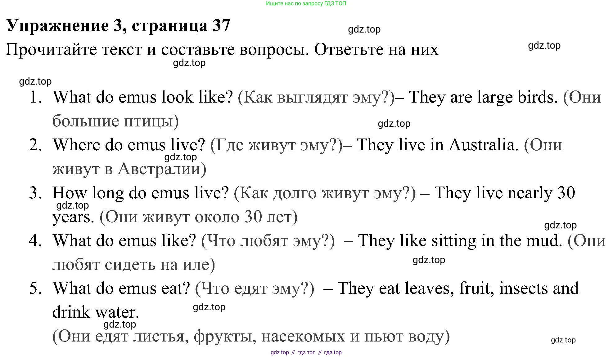 Английский язык (english), 5 класс Рабочая тетрадь (workbook), авторы: Ваулина Юлия Евгеньевна (Vaulina Julia), Дули Дженни (Dooley Jenny), Подоляко Ольга Евгеньевна (Podolyako Olga), Эванс Вирджиния (Evans Virginia), издательство Просвещение, Москва, 2023, жёлтого цвета, страница 37, номер 3, Решение 3 (2023-2027)