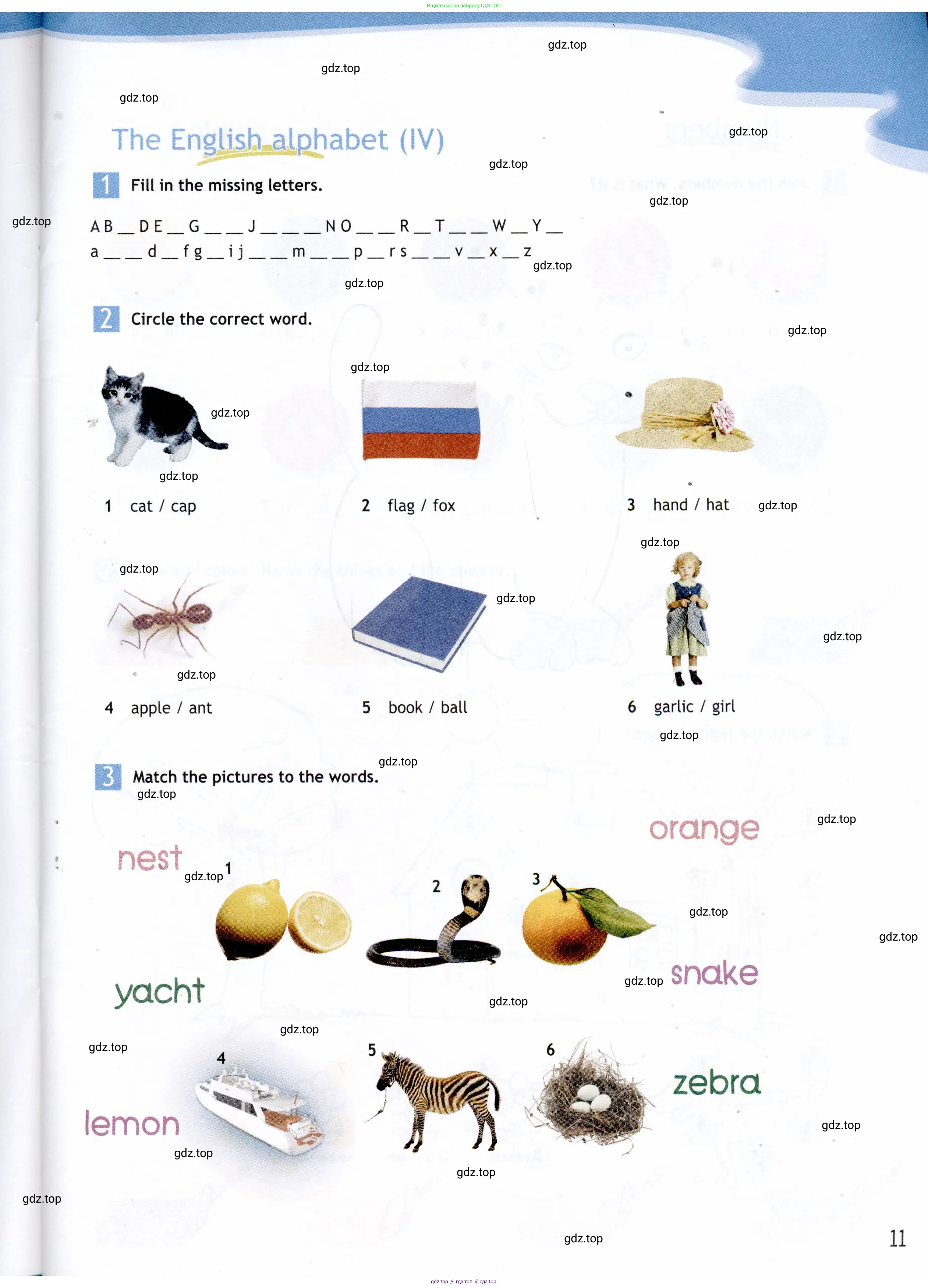 Английский язык (english), 5 класс Рабочая тетрадь (workbook), авторы: Ваулина Юлия Евгеньевна (Vaulina Julia), Дули Дженни (Dooley Jenny), Подоляко Ольга Евгеньевна (Podolyako Olga), Эванс Вирджиния (Evans Virginia), издательство Просвещение, Москва, 2023, жёлтого цвета, страница 11