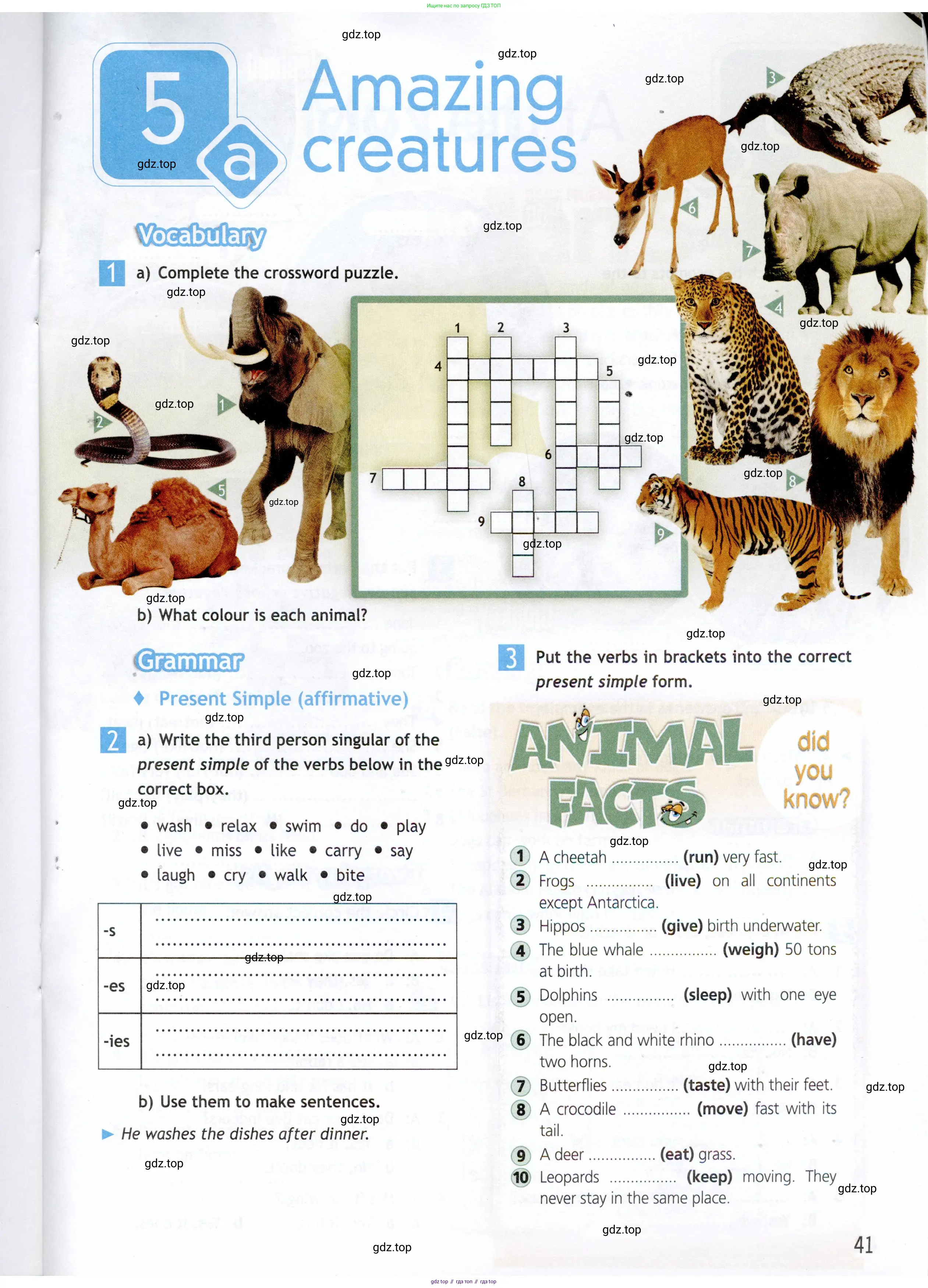Английский язык (english), 5 класс Рабочая тетрадь (workbook), авторы: Ваулина Юлия Евгеньевна (Vaulina Julia), Дули Дженни (Dooley Jenny), Подоляко Ольга Евгеньевна (Podolyako Olga), Эванс Вирджиния (Evans Virginia), издательство Просвещение, Москва, 2023, жёлтого цвета, страница 41