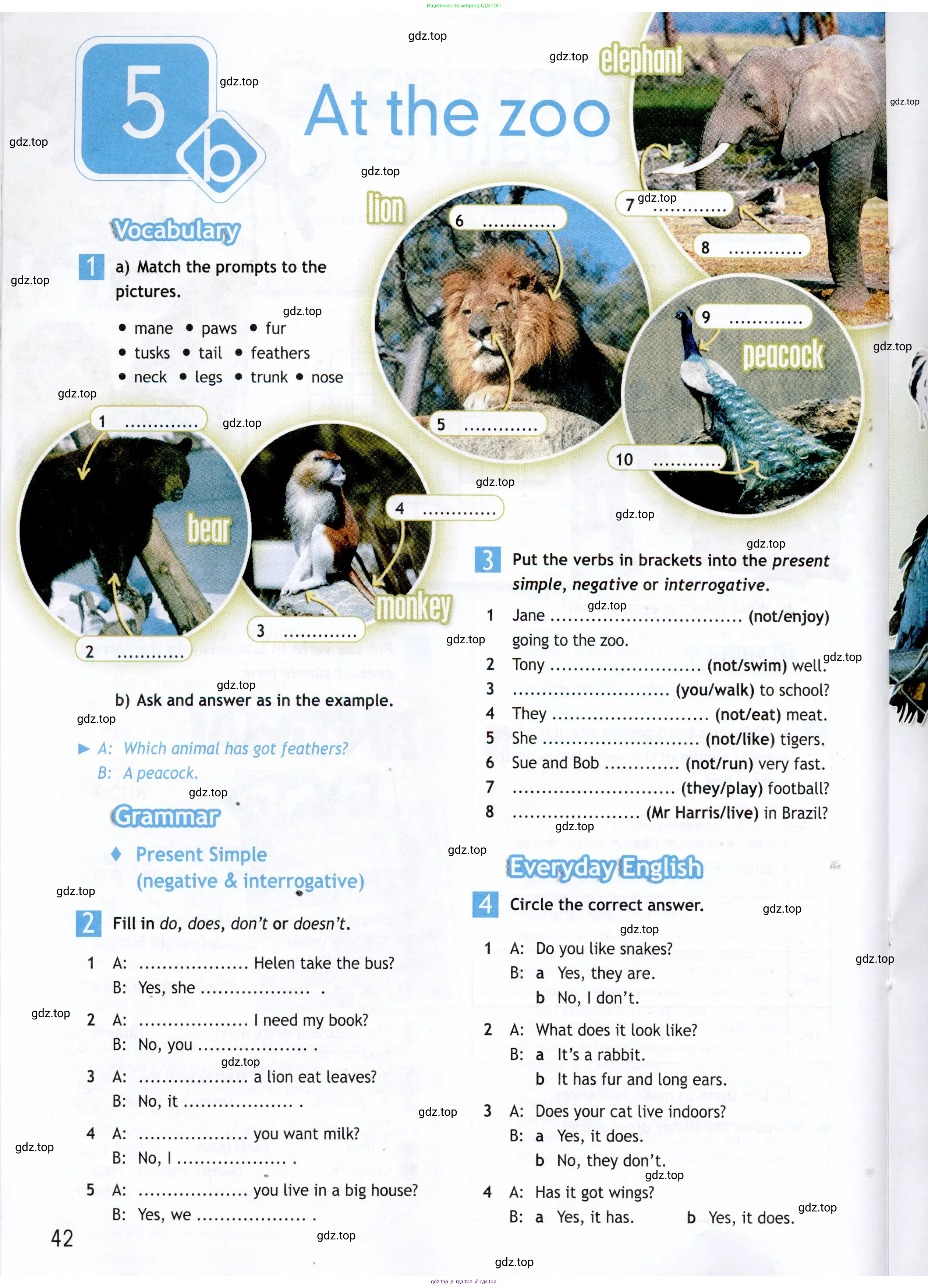 Английский язык (english), 5 класс Рабочая тетрадь (workbook), авторы: Ваулина Юлия Евгеньевна (Vaulina Julia), Дули Дженни (Dooley Jenny), Подоляко Ольга Евгеньевна (Podolyako Olga), Эванс Вирджиния (Evans Virginia), издательство Просвещение, Москва, 2023, жёлтого цвета, страница 42