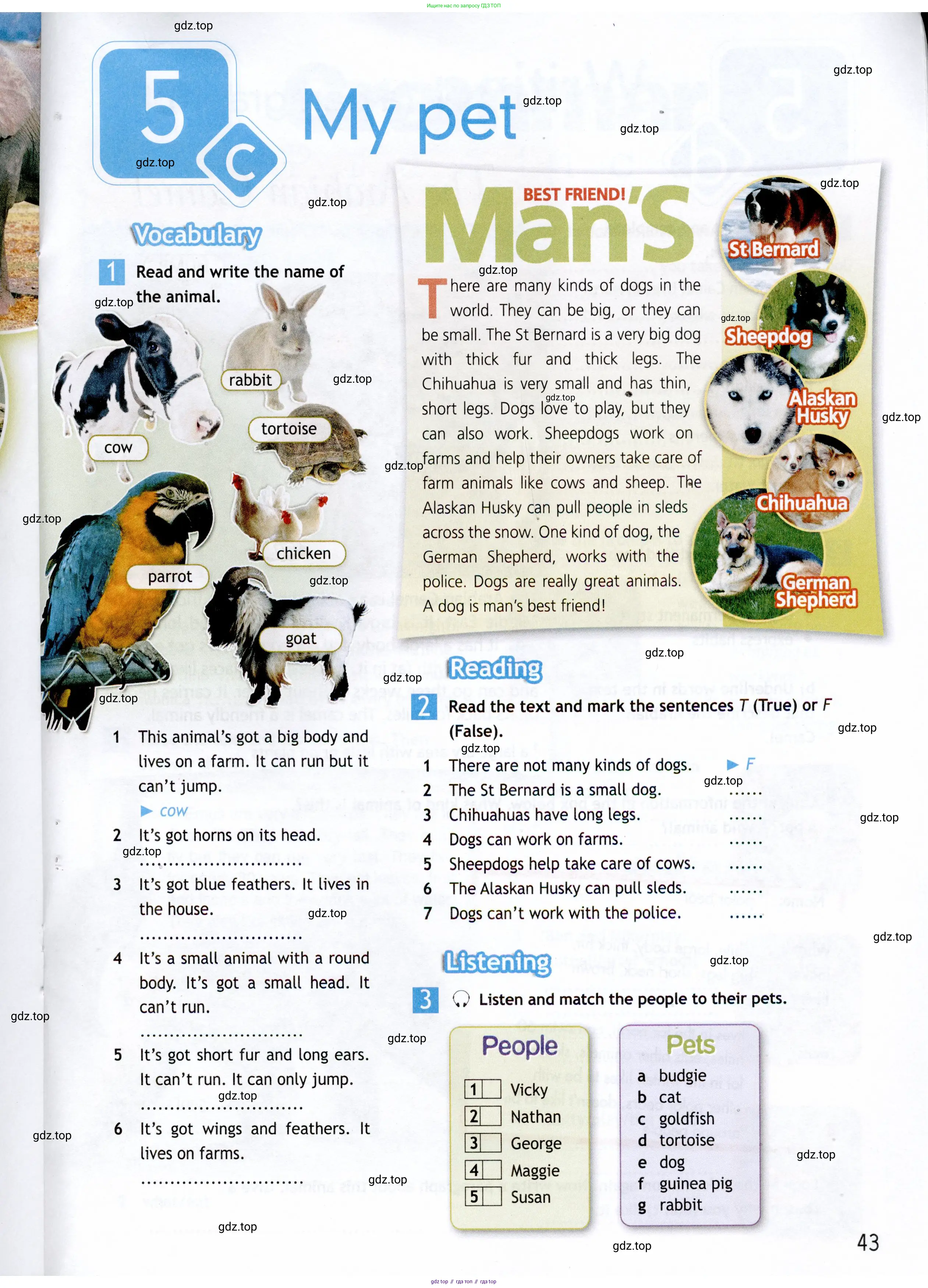 Английский язык (english), 5 класс Рабочая тетрадь (workbook), авторы: Ваулина Юлия Евгеньевна (Vaulina Julia), Дули Дженни (Dooley Jenny), Подоляко Ольга Евгеньевна (Podolyako Olga), Эванс Вирджиния (Evans Virginia), издательство Просвещение, Москва, 2023, жёлтого цвета, страница 43