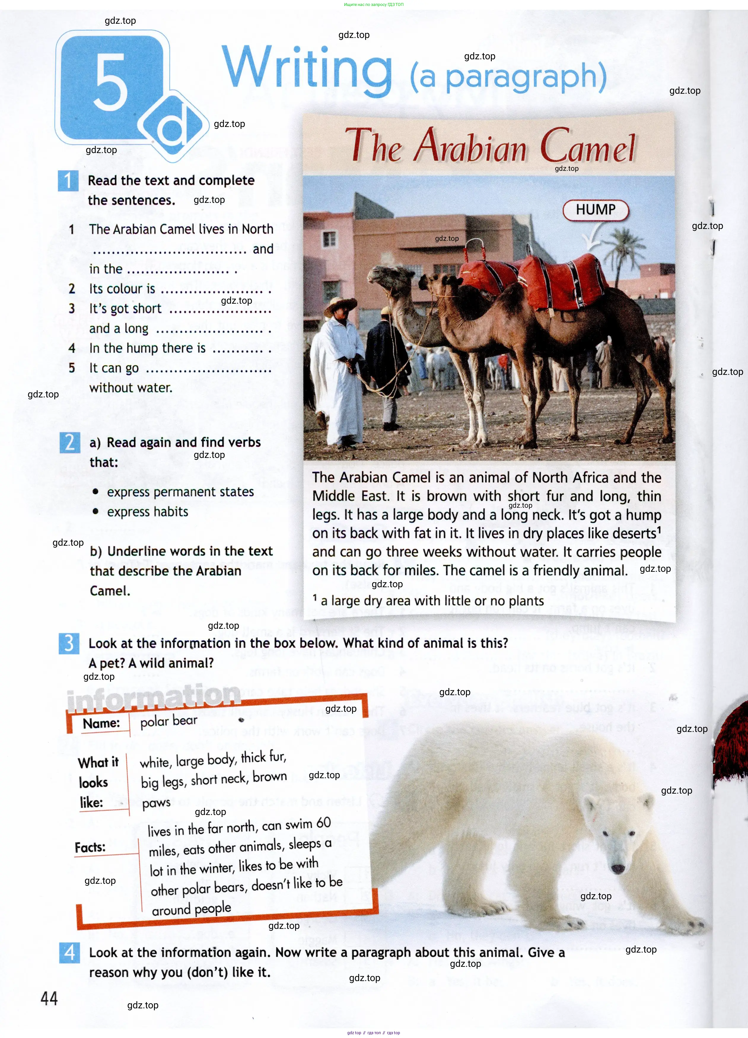 Английский язык (english), 5 класс Рабочая тетрадь (workbook), авторы: Ваулина Юлия Евгеньевна (Vaulina Julia), Дули Дженни (Dooley Jenny), Подоляко Ольга Евгеньевна (Podolyako Olga), Эванс Вирджиния (Evans Virginia), издательство Просвещение, Москва, 2023, жёлтого цвета, страница 44