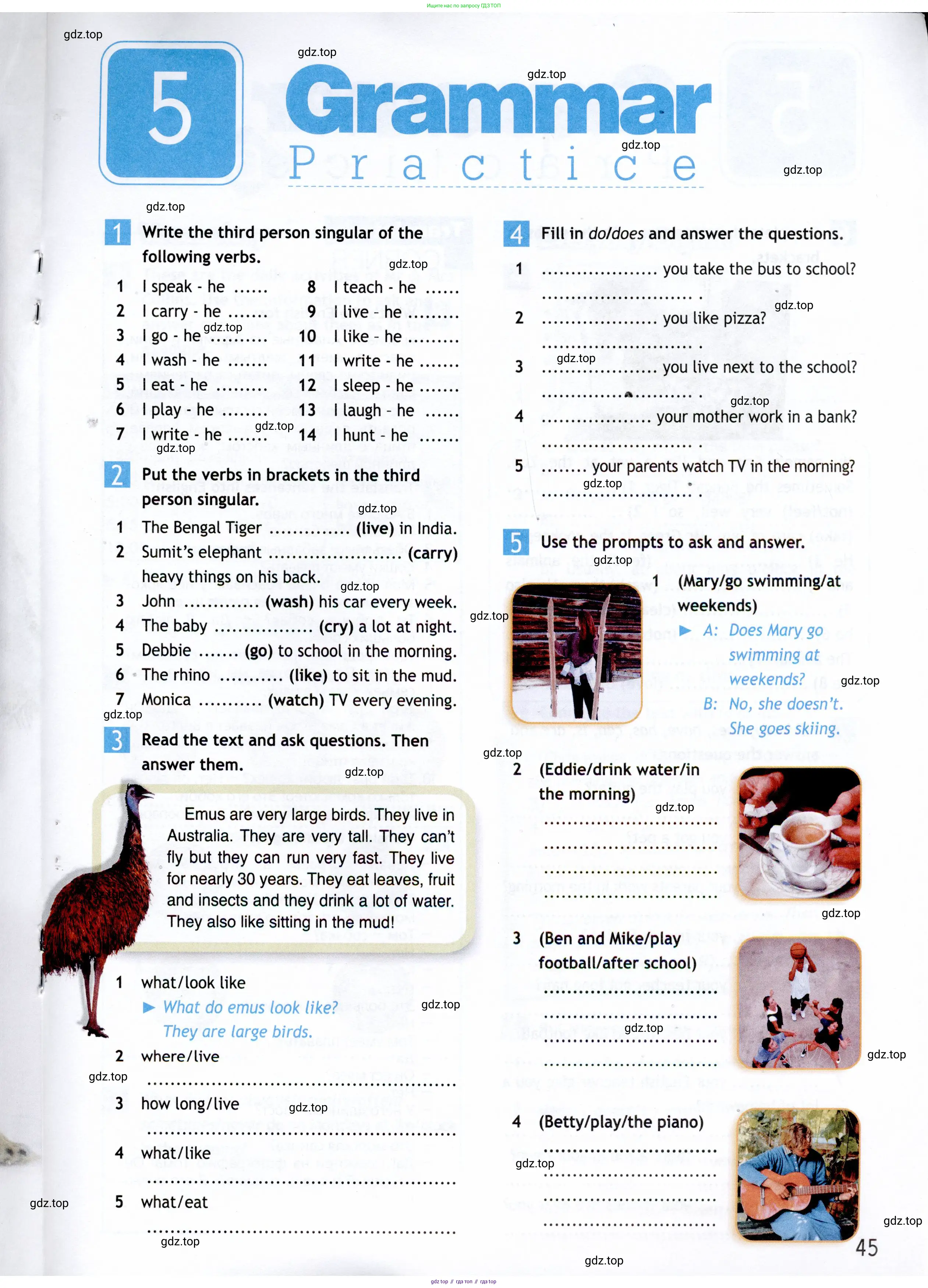Английский язык (english), 5 класс Рабочая тетрадь (workbook), авторы: Ваулина Юлия Евгеньевна (Vaulina Julia), Дули Дженни (Dooley Jenny), Подоляко Ольга Евгеньевна (Podolyako Olga), Эванс Вирджиния (Evans Virginia), издательство Просвещение, Москва, 2023, жёлтого цвета, страница 45