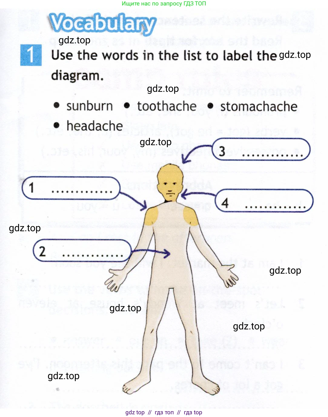 Английский язык (english), 5 класс Рабочая тетрадь (workbook), авторы: Ваулина Юлия Евгеньевна (Vaulina Julia), Дули Дженни (Dooley Jenny), Подоляко Ольга Евгеньевна (Podolyako Olga), Эванс Вирджиния (Evans Virginia), издательство Просвещение, Москва, 2023, жёлтого цвета, страница 65, номер 1, Условие 2019-2022