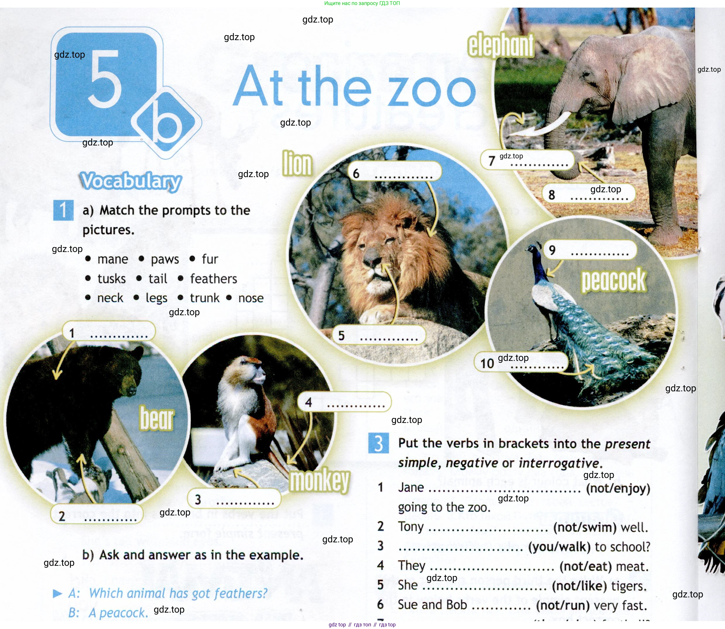 ГДЗ Английский язык (english), 5 класс Рабочая тетрадь (workbook), авторы: Ваулина Юлия Евгеньевна (Vaulina Julia), Дули Дженни (Dooley Jenny), Подоляко Ольга Евгеньевна (Podolyako Olga), Эванс Вирджиния (Evans Virginia), издательство Просвещение, Москва, 2023, жёлтого цвета, страница 34, номер 1, Условие 2019-2022