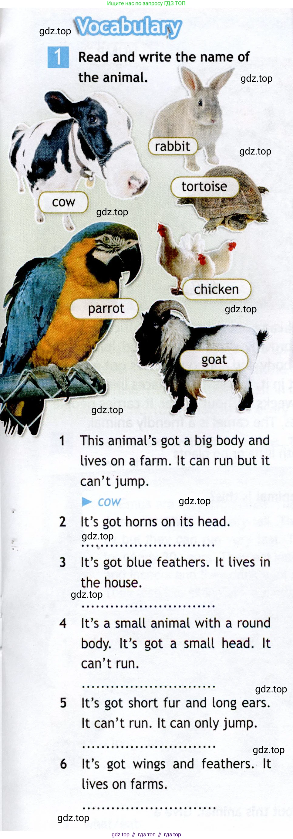 ГДЗ Английский язык (english), 5 класс Рабочая тетрадь (workbook), авторы: Ваулина Юлия Евгеньевна (Vaulina Julia), Дули Дженни (Dooley Jenny), Подоляко Ольга Евгеньевна (Podolyako Olga), Эванс Вирджиния (Evans Virginia), издательство Просвещение, Москва, 2023, жёлтого цвета, страница 35, номер 1, Условие 2019-2022