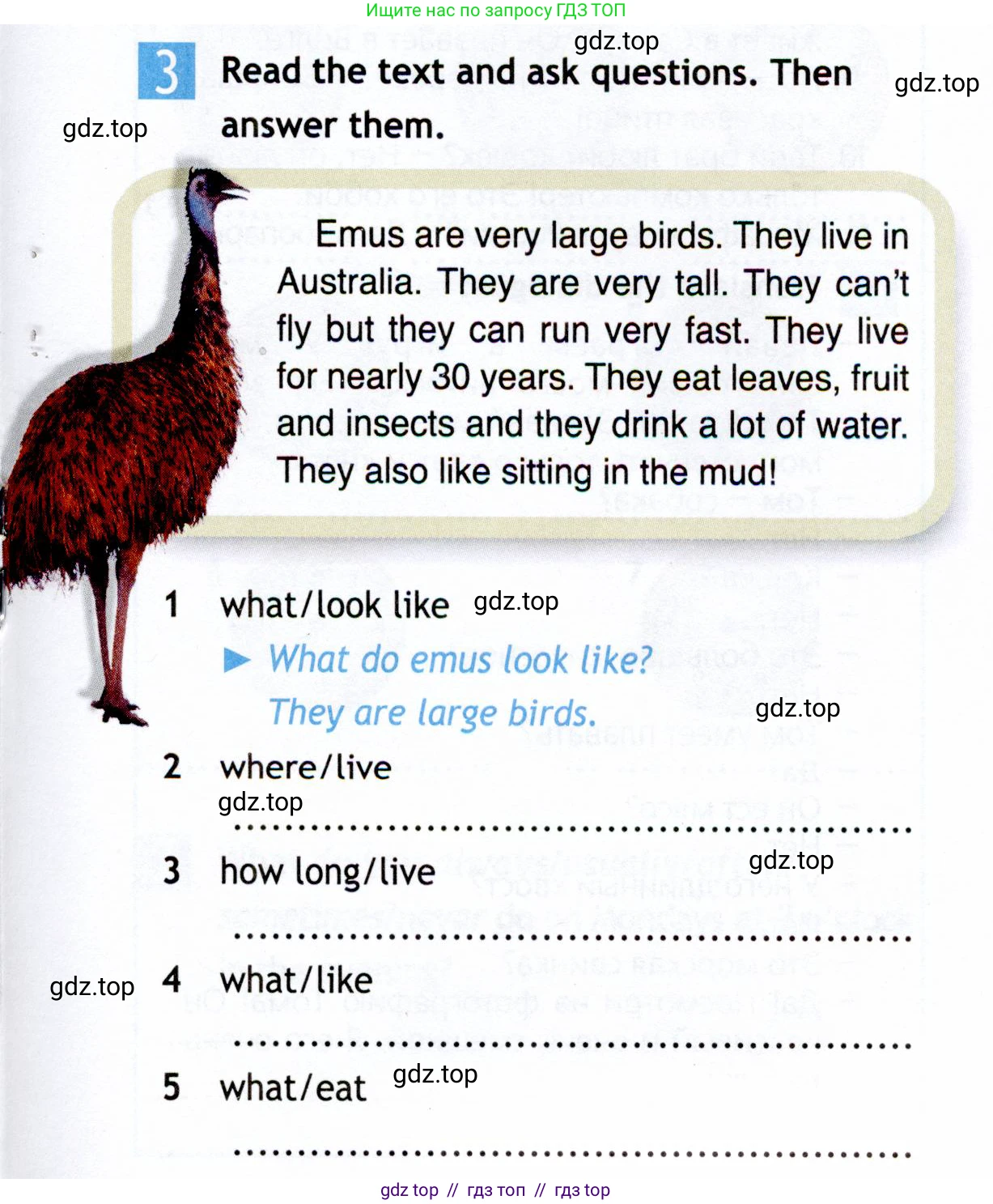 Английский язык (english), 5 класс Рабочая тетрадь (workbook), авторы: Ваулина Юлия Евгеньевна (Vaulina Julia), Дули Дженни (Dooley Jenny), Подоляко Ольга Евгеньевна (Podolyako Olga), Эванс Вирджиния (Evans Virginia), издательство Просвещение, Москва, 2023, жёлтого цвета, страница 37, номер 3, Условие 2019-2022
