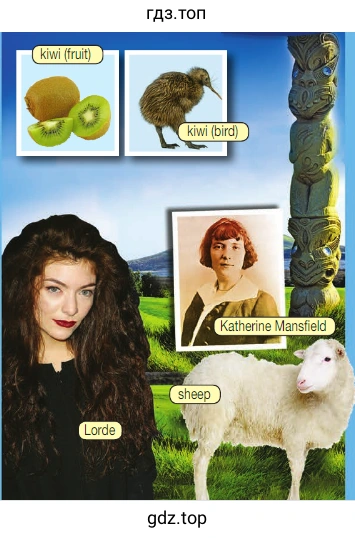 Рисунок. New Zealand 2