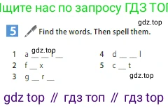 ГДЗ Английский язык (english), 5 класс Учебник (Student's book), авторы: Ваулина Юлия Евгеньевна (Vaulina Julia), Дули Дженни (Dooley Jenny), Подоляко Ольга Евгеньевна (Podolyako Olga), Эванс Вирджиния (Evans Virginia), издательство Просвещение, Москва, 2023, жёлтого цвета, страница 13, номер 5, Условие 2023-2027