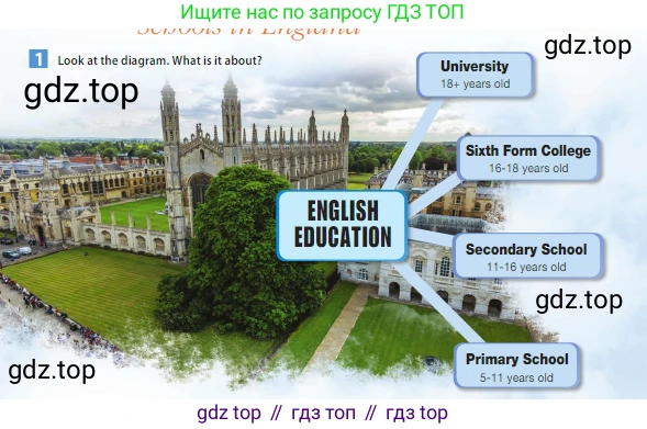 ГДЗ Английский язык (english), 5 класс Учебник (Student's book), авторы: Ваулина Юлия Евгеньевна (Vaulina Julia), Дули Дженни (Dooley Jenny), Подоляко Ольга Евгеньевна (Podolyako Olga), Эванс Вирджиния (Evans Virginia), издательство Просвещение, Москва, 2023, жёлтого цвета, страница 31, номер 1, Условие 2023-2027