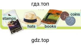 coins stamps hats books