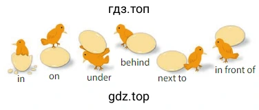behind in on under in front of next to