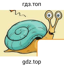 snail