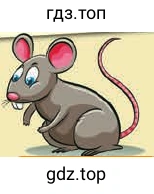 mouse