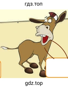 mule