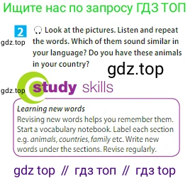 ГДЗ Английский язык (english), 5 класс Учебник (Student's book), авторы: Ваулина Юлия Евгеньевна (Vaulina Julia), Дули Дженни (Dooley Jenny), Подоляко Ольга Евгеньевна (Podolyako Olga), Эванс Вирджиния (Evans Virginia), издательство Просвещение, Москва, 2023, жёлтого цвета, страница 66, номер 2, Условие 2023-2027