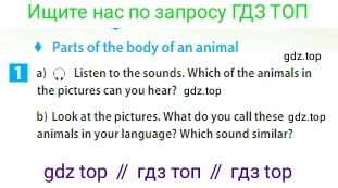 ГДЗ Английский язык (english), 5 класс Учебник (Student's book), авторы: Ваулина Юлия Евгеньевна (Vaulina Julia), Дули Дженни (Dooley Jenny), Подоляко Ольга Евгеньевна (Podolyako Olga), Эванс Вирджиния (Evans Virginia), издательство Просвещение, Москва, 2023, жёлтого цвета, страница 68, номер 1, Условие 2023-2027 (продолжение 2)