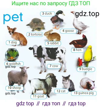 ГДЗ Английский язык (english), 5 класс Учебник (Student's book), авторы: Ваулина Юлия Евгеньевна (Vaulina Julia), Дули Дженни (Dooley Jenny), Подоляко Ольга Евгеньевна (Podolyako Olga), Эванс Вирджиния (Evans Virginia), издательство Просвещение, Москва, 2023, жёлтого цвета, страница 70, номер 1, Условие 2023-2027 (продолжение 2)