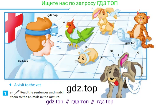 ГДЗ Английский язык (english), 5 класс Учебник (Student's book), авторы: Ваулина Юлия Евгеньевна (Vaulina Julia), Дули Дженни (Dooley Jenny), Подоляко Ольга Евгеньевна (Podolyako Olga), Эванс Вирджиния (Evans Virginia), издательство Просвещение, Москва, 2023, жёлтого цвета, страница 72, номер 1, Условие 2023-2027 (продолжение 2)