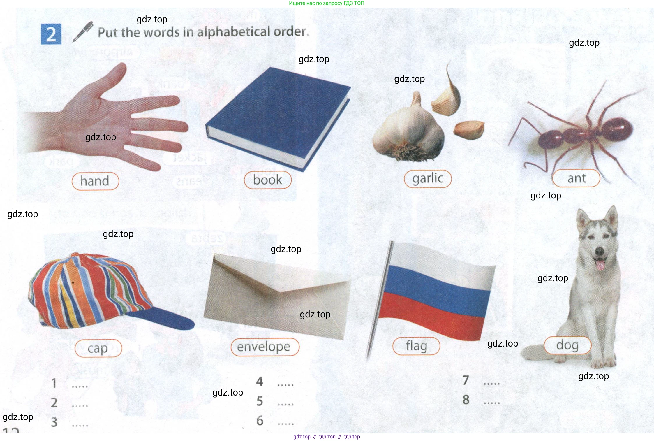 Английский язык (english), 5 класс Учебник (Student's book), авторы: Ваулина Юлия Евгеньевна (Vaulina Julia), Дули Дженни (Dooley Jenny), Подоляко Ольга Евгеньевна (Podolyako Olga), Эванс Вирджиния (Evans Virginia), издательство Просвещение, Москва, 2023, жёлтого цвета, страница 12, Условие 2019-2022