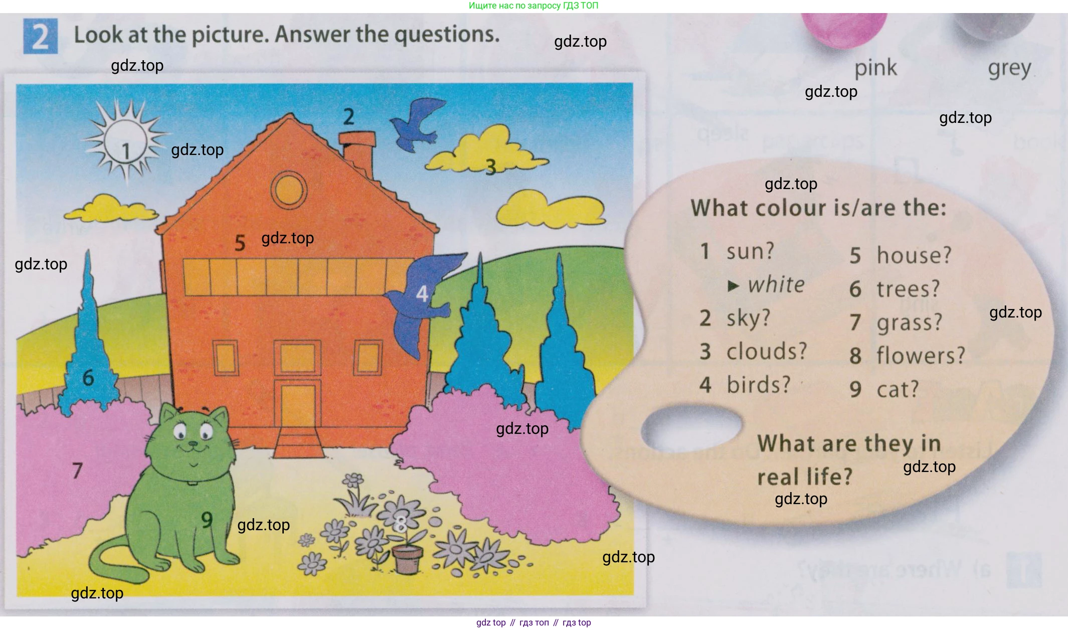 Английский язык (english), 5 класс Учебник (Student's book), авторы: Ваулина Юлия Евгеньевна (Vaulina Julia), Дули Дженни (Dooley Jenny), Подоляко Ольга Евгеньевна (Podolyako Olga), Эванс Вирджиния (Evans Virginia), издательство Просвещение, Москва, 2023, жёлтого цвета, страница 21, номер 2, Условие 2019-2022