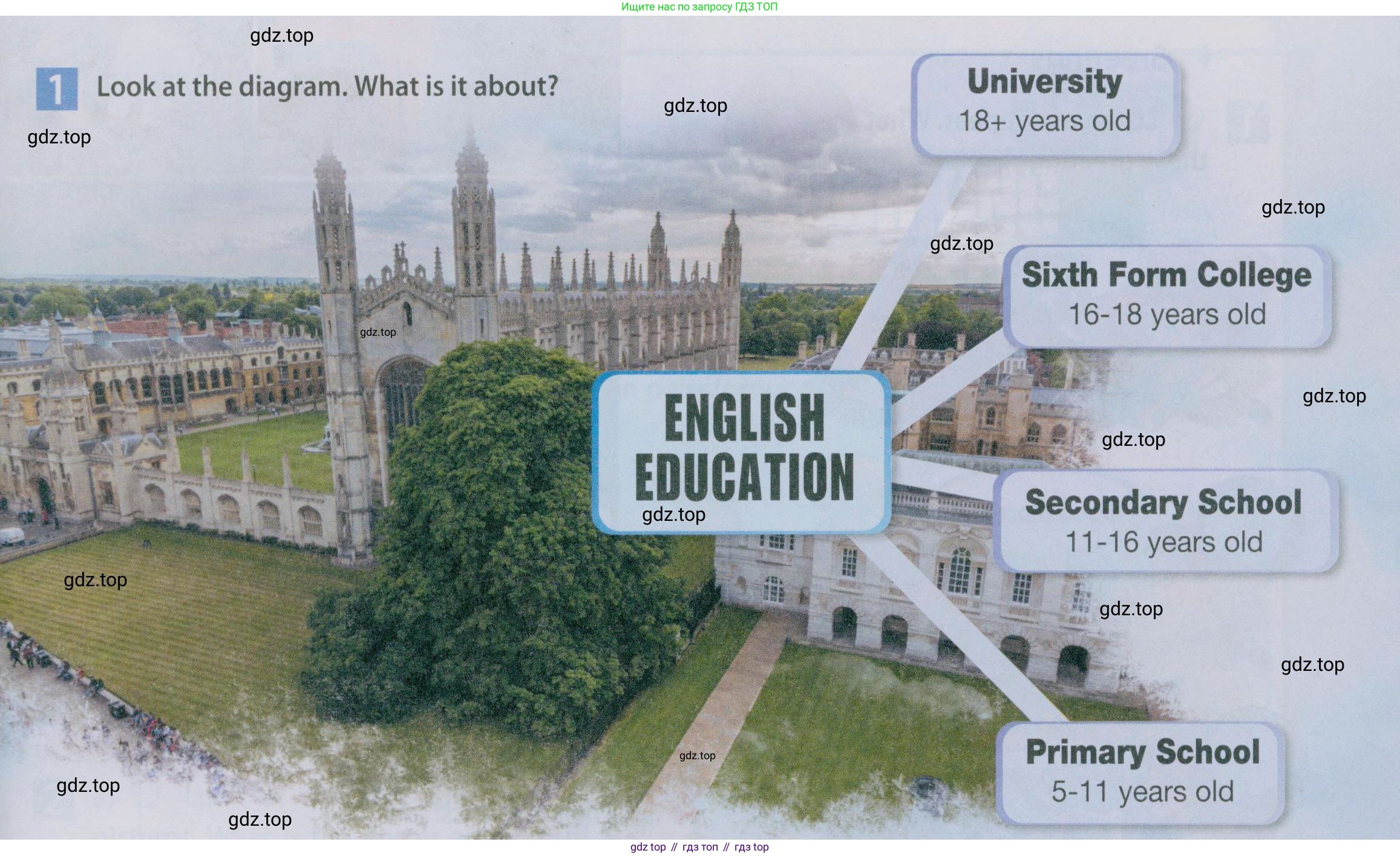 Английский язык (english), 5 класс Учебник (Student's book), авторы: Ваулина Юлия Евгеньевна (Vaulina Julia), Дули Дженни (Dooley Jenny), Подоляко Ольга Евгеньевна (Podolyako Olga), Эванс Вирджиния (Evans Virginia), издательство Просвещение, Москва, 2023, жёлтого цвета, страница 31, номер 1, Условие 2019-2022