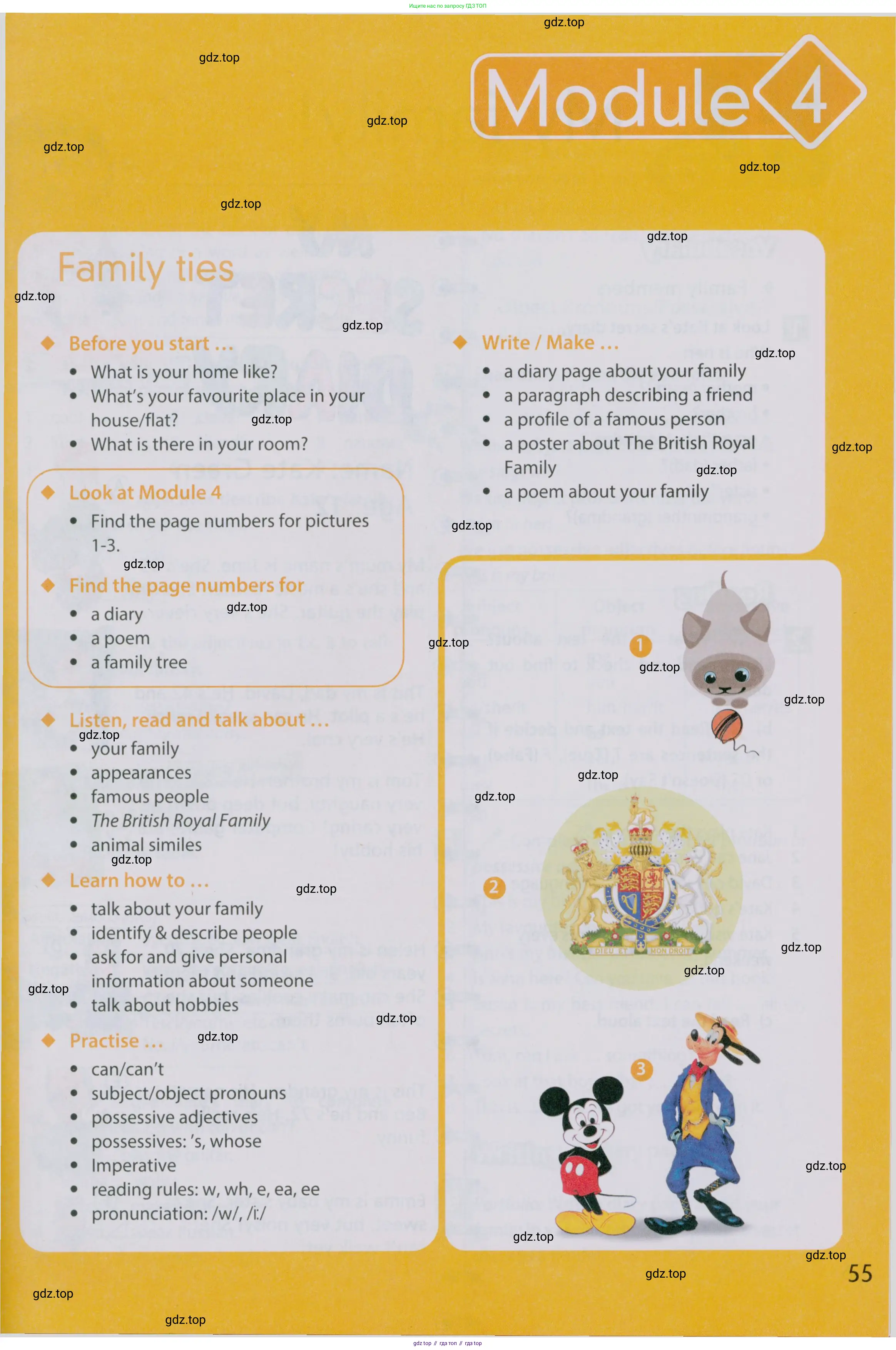 Английский язык (english), 5 класс Учебник (Student's book), авторы: Ваулина Юлия Евгеньевна (Vaulina Julia), Дули Дженни (Dooley Jenny), Подоляко Ольга Евгеньевна (Podolyako Olga), Эванс Вирджиния (Evans Virginia), издательство Просвещение, Москва, 2023, жёлтого цвета, страница 55