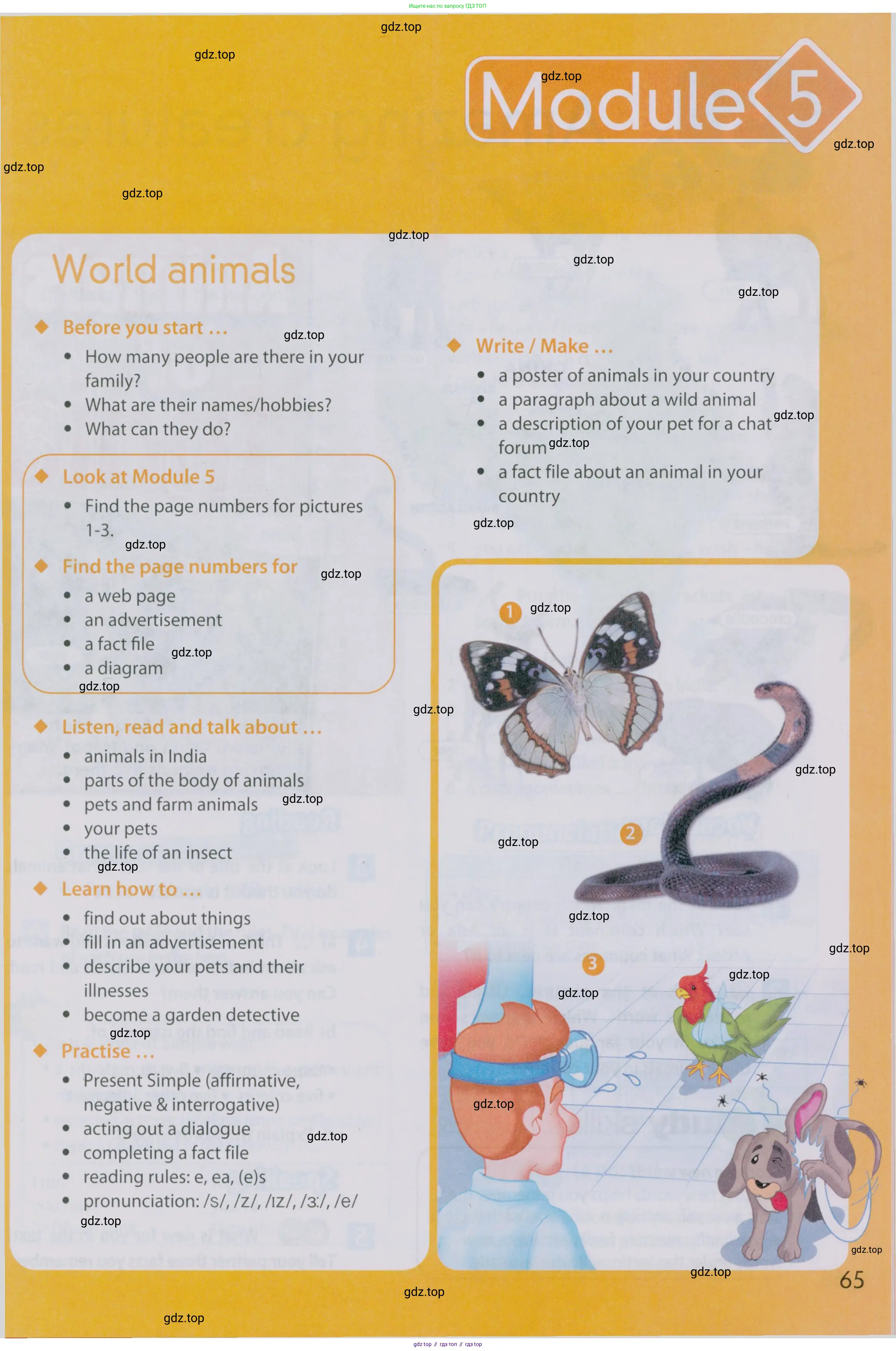 Английский язык (english), 5 класс Учебник (Student's book), авторы: Ваулина Юлия Евгеньевна (Vaulina Julia), Дули Дженни (Dooley Jenny), Подоляко Ольга Евгеньевна (Podolyako Olga), Эванс Вирджиния (Evans Virginia), издательство Просвещение, Москва, 2023, жёлтого цвета, страница 65