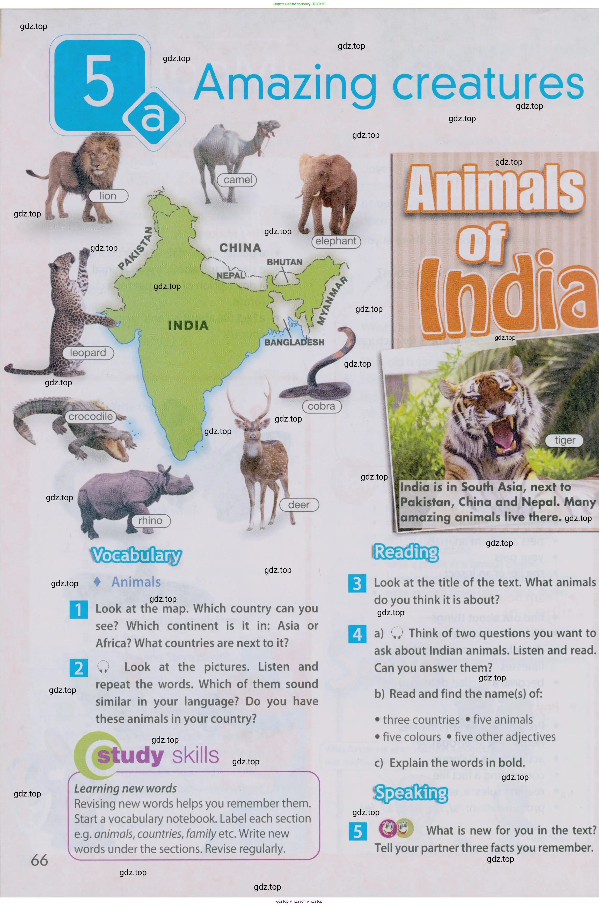 Английский язык (english), 5 класс Учебник (Student's book), авторы: Ваулина Юлия Евгеньевна (Vaulina Julia), Дули Дженни (Dooley Jenny), Подоляко Ольга Евгеньевна (Podolyako Olga), Эванс Вирджиния (Evans Virginia), издательство Просвещение, Москва, 2023, жёлтого цвета, страница 66