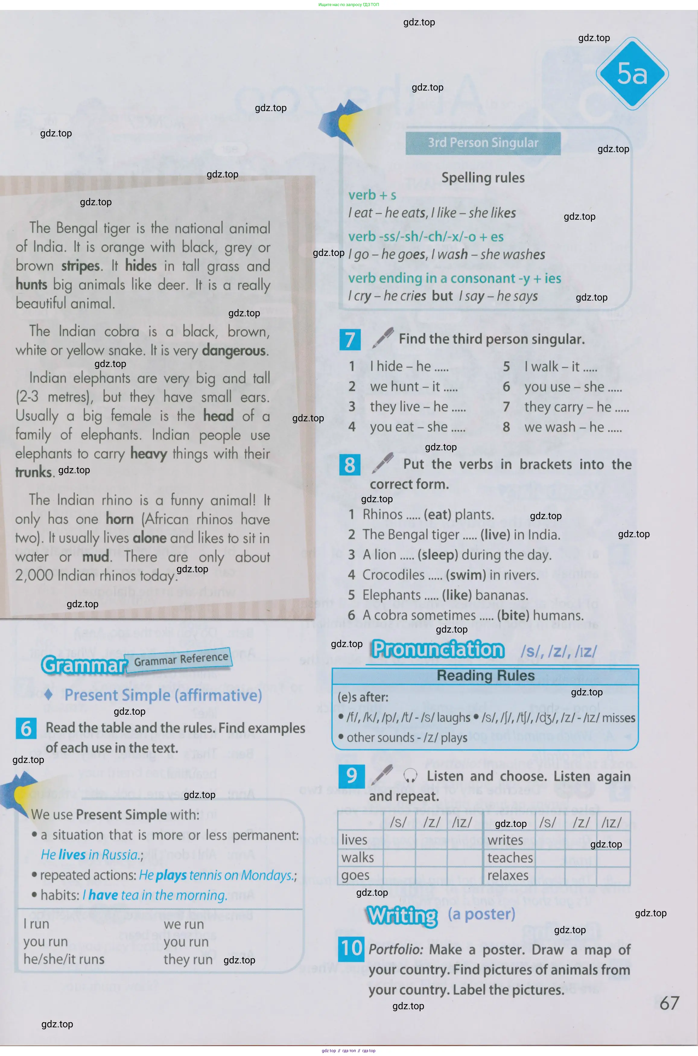 Английский язык (english), 5 класс Учебник (Student's book), авторы: Ваулина Юлия Евгеньевна (Vaulina Julia), Дули Дженни (Dooley Jenny), Подоляко Ольга Евгеньевна (Podolyako Olga), Эванс Вирджиния (Evans Virginia), издательство Просвещение, Москва, 2023, жёлтого цвета, страница 67