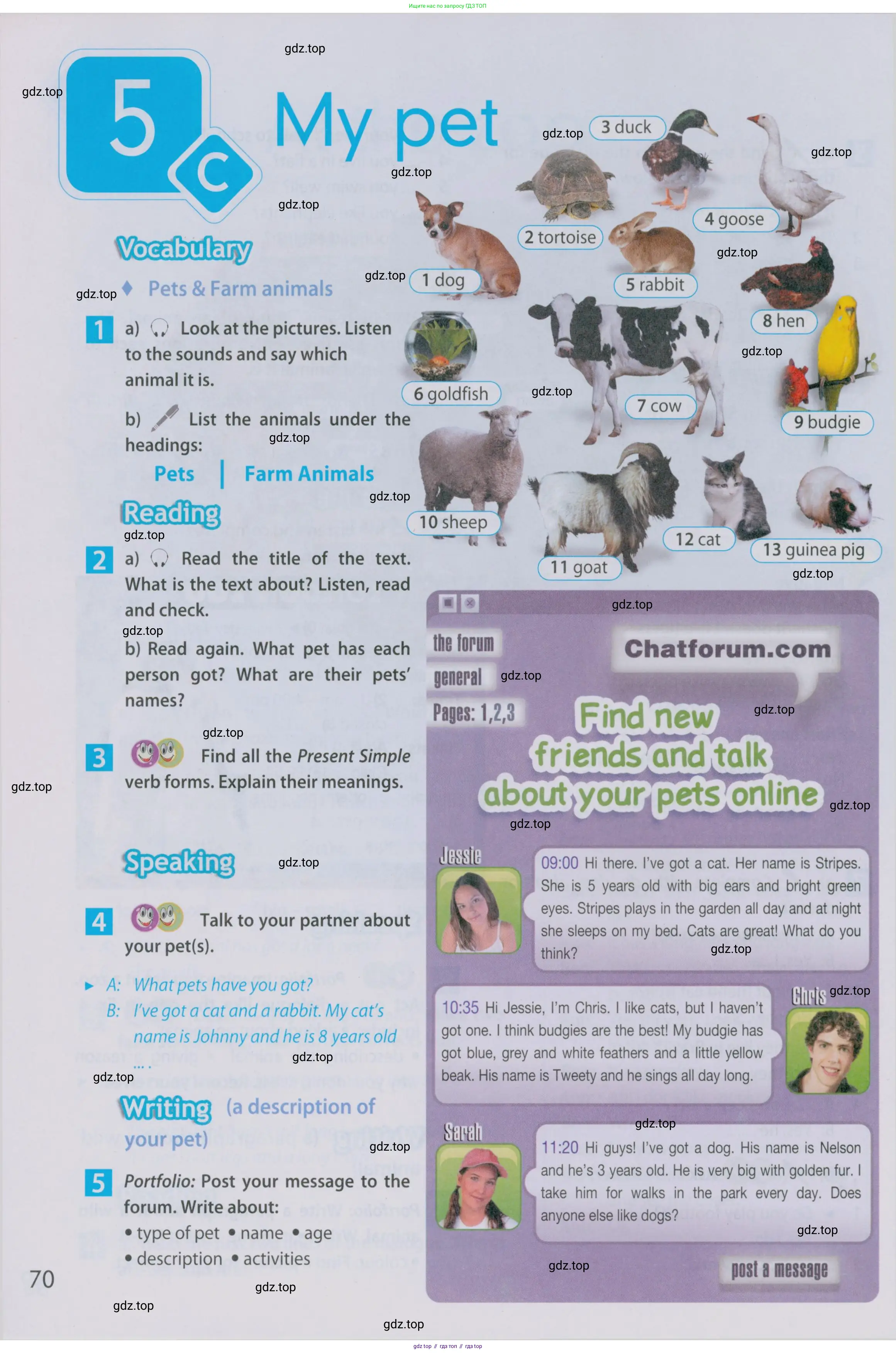 Английский язык (english), 5 класс Учебник (Student's book), авторы: Ваулина Юлия Евгеньевна (Vaulina Julia), Дули Дженни (Dooley Jenny), Подоляко Ольга Евгеньевна (Podolyako Olga), Эванс Вирджиния (Evans Virginia), издательство Просвещение, Москва, 2023, жёлтого цвета, страница 70