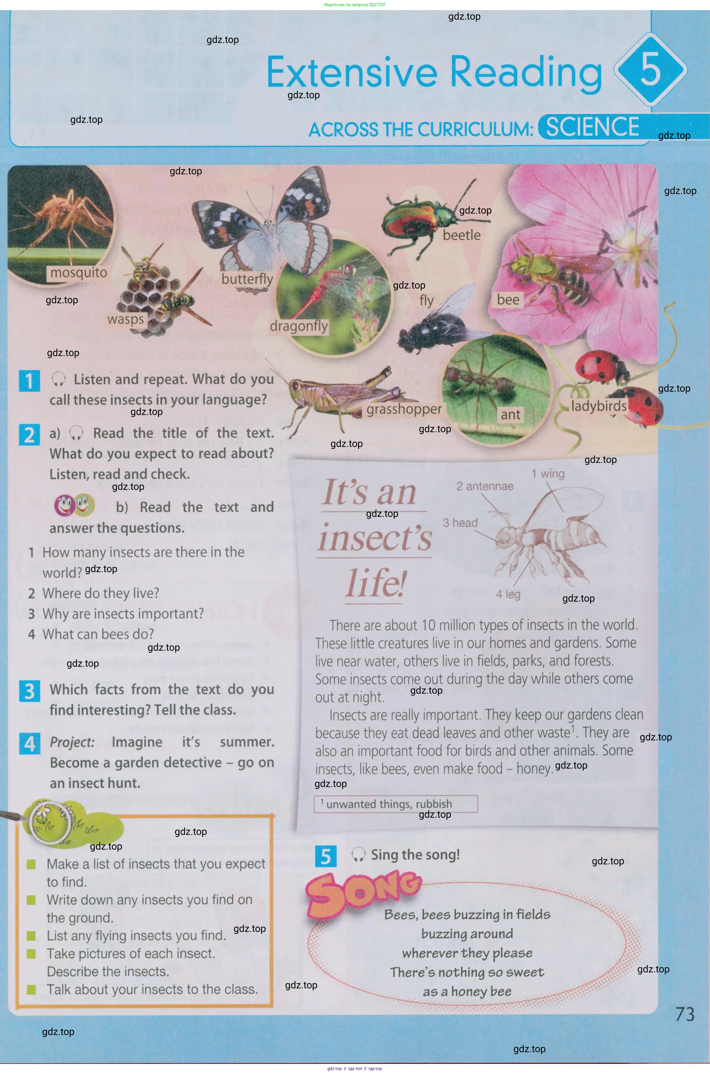 Английский язык (english), 5 класс Учебник (Student's book), авторы: Ваулина Юлия Евгеньевна (Vaulina Julia), Дули Дженни (Dooley Jenny), Подоляко Ольга Евгеньевна (Podolyako Olga), Эванс Вирджиния (Evans Virginia), издательство Просвещение, Москва, 2023, жёлтого цвета, страница 73