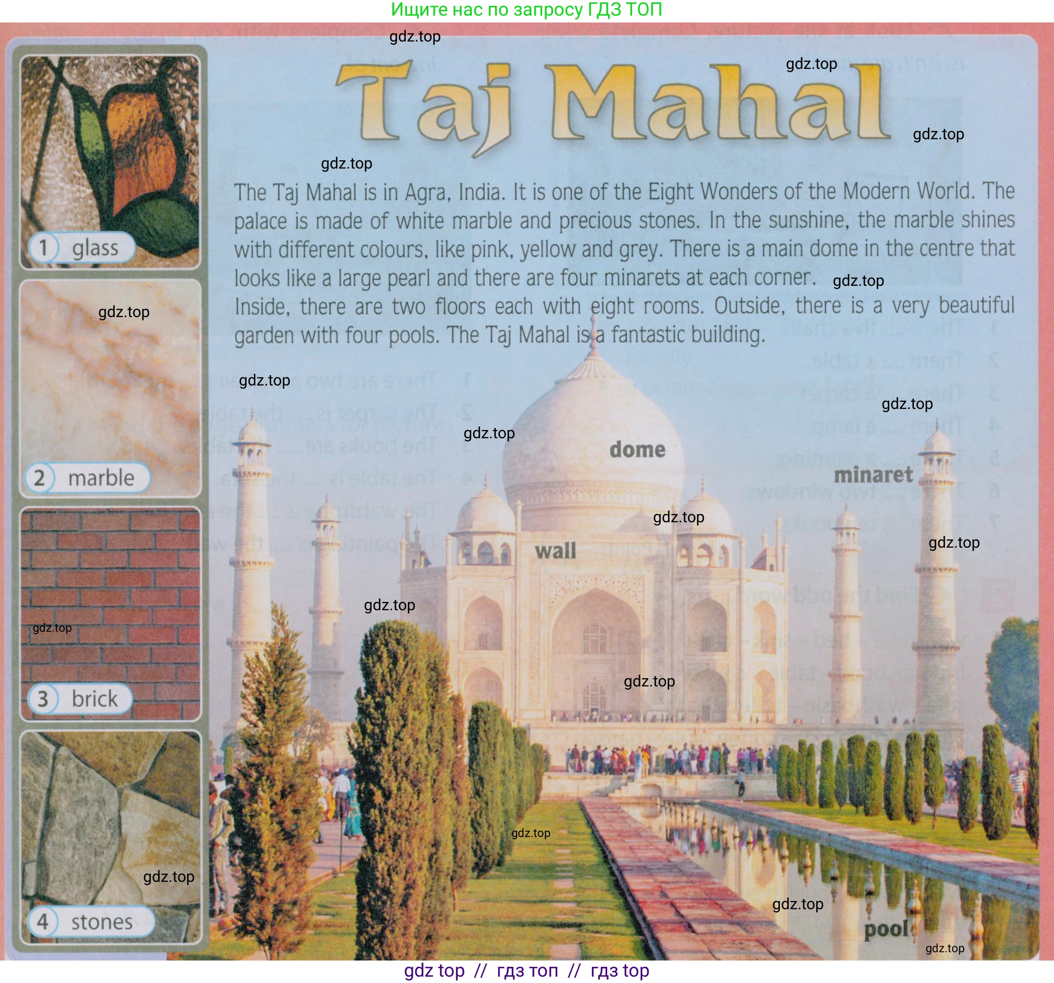 Английский язык (english), 5 класс Учебник (Student's book), авторы: Ваулина Юлия Евгеньевна (Vaulina Julia), Дули Дженни (Dooley Jenny), Подоляко Ольга Евгеньевна (Podolyako Olga), Эванс Вирджиния (Evans Virginia), издательство Просвещение, Москва, 2023, жёлтого цвета, страница 53, номер 1, Условие 2019-2022 (продолжение 2)