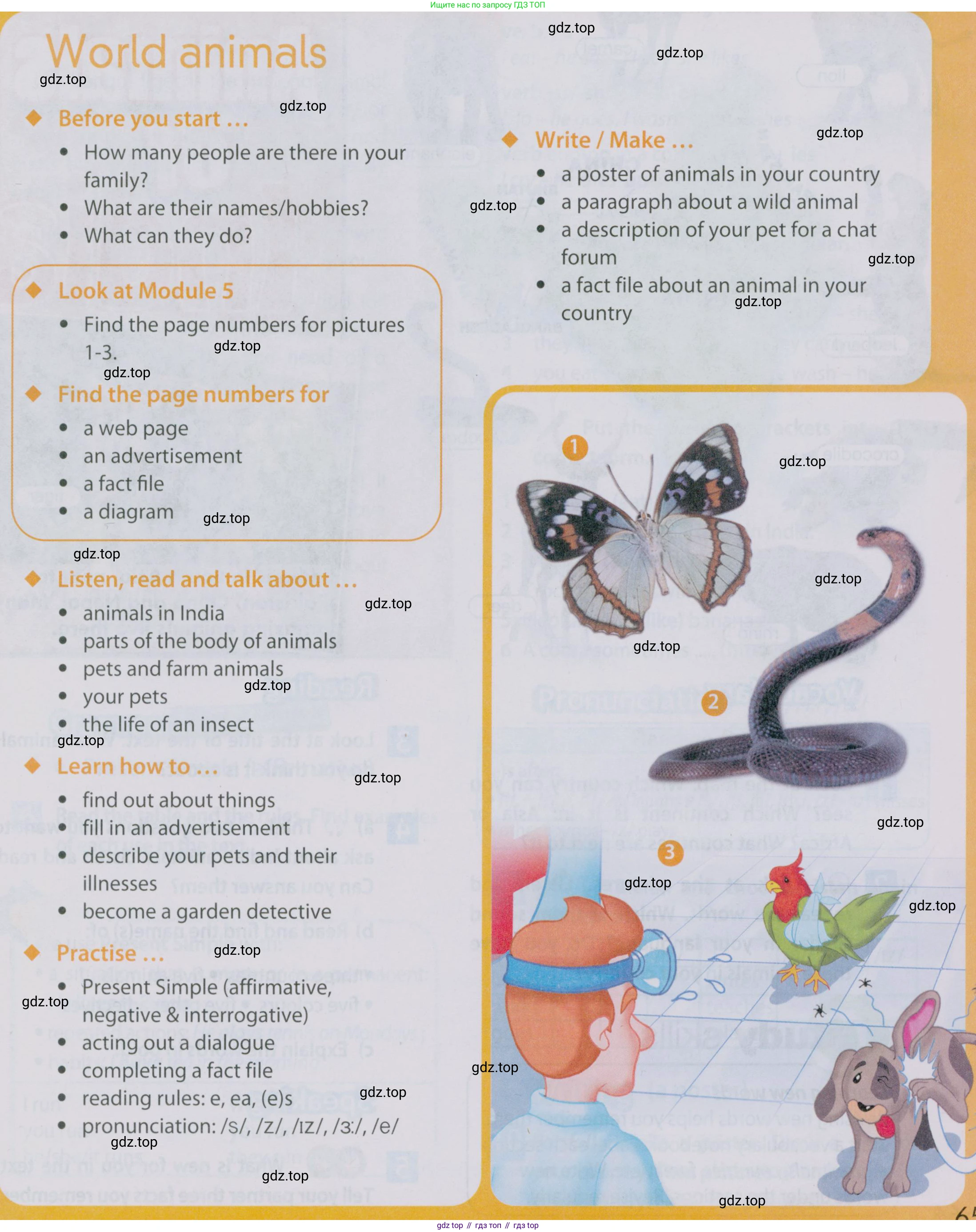 Английский язык (english), 5 класс Учебник (Student's book), авторы: Ваулина Юлия Евгеньевна (Vaulina Julia), Дули Дженни (Dooley Jenny), Подоляко Ольга Евгеньевна (Podolyako Olga), Эванс Вирджиния (Evans Virginia), издательство Просвещение, Москва, 2023, жёлтого цвета, страница 65, Условие 2019-2022