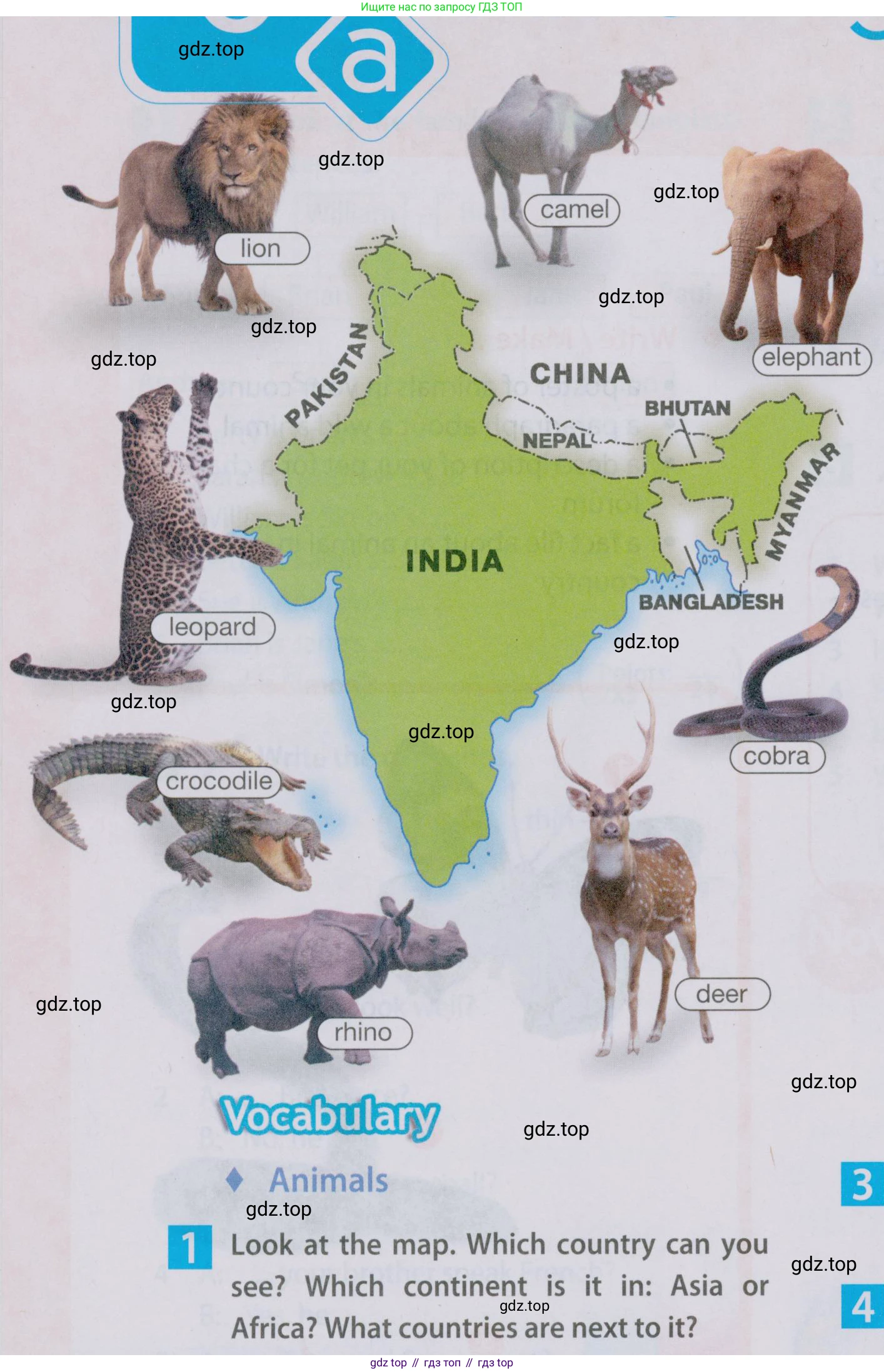 Английский язык (english), 5 класс Учебник (Student's book), авторы: Ваулина Юлия Евгеньевна (Vaulina Julia), Дули Дженни (Dooley Jenny), Подоляко Ольга Евгеньевна (Podolyako Olga), Эванс Вирджиния (Evans Virginia), издательство Просвещение, Москва, 2023, жёлтого цвета, страница 66, номер 1, Условие 2019-2022